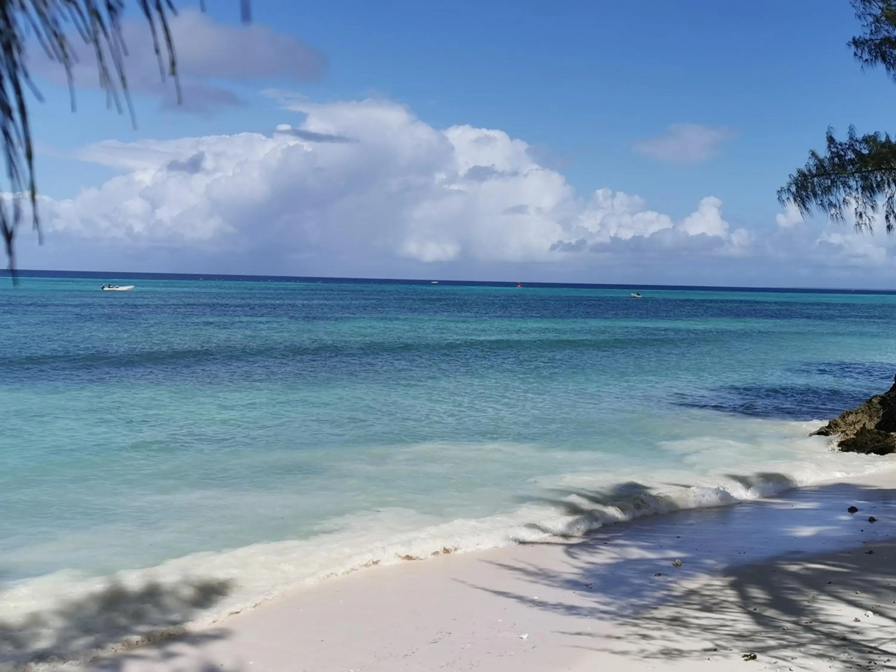 COCO REEF ECOLODGE