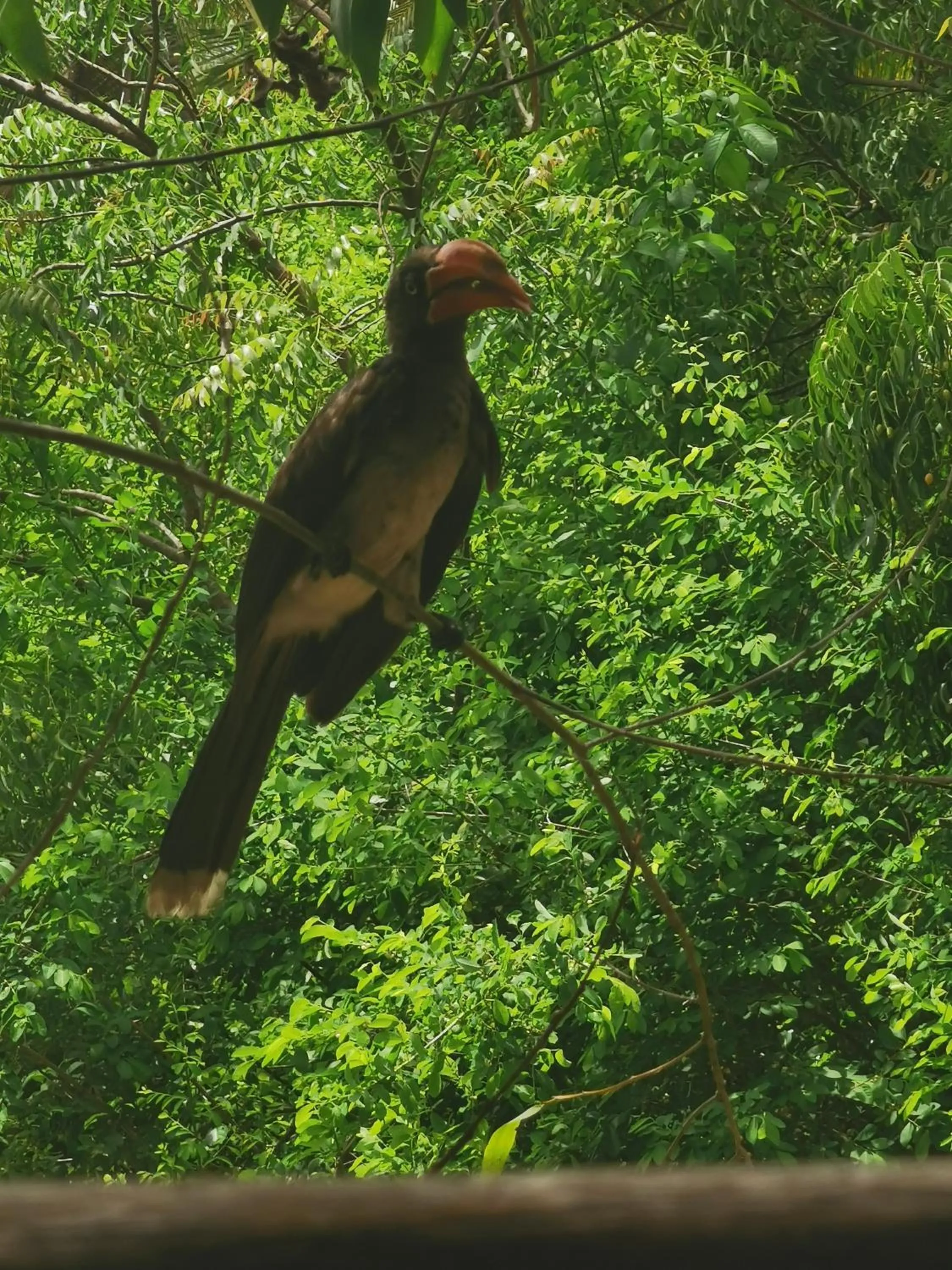 Natural landscape in COCO REEF ECOLODGE