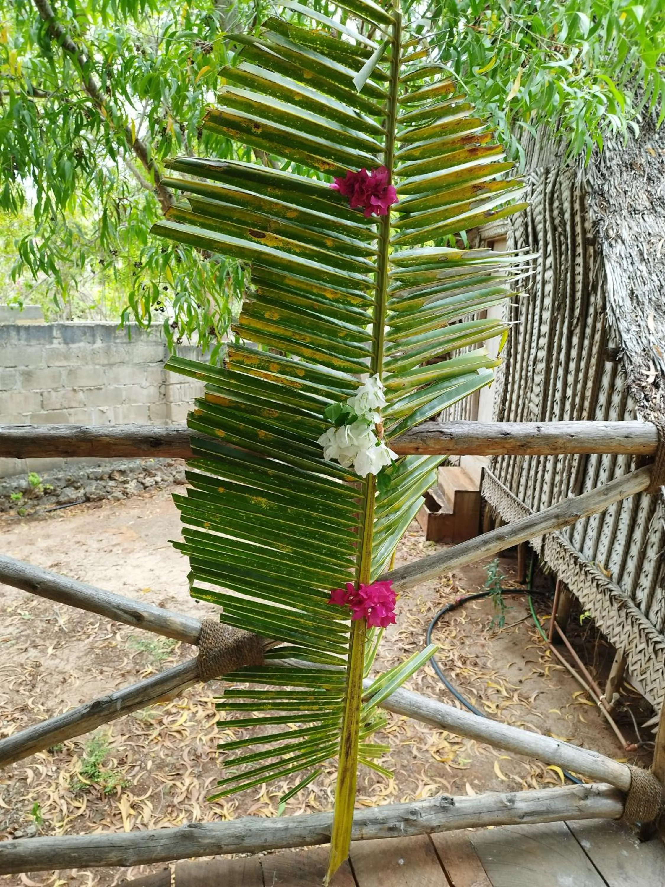 COCO REEF ECOLODGE