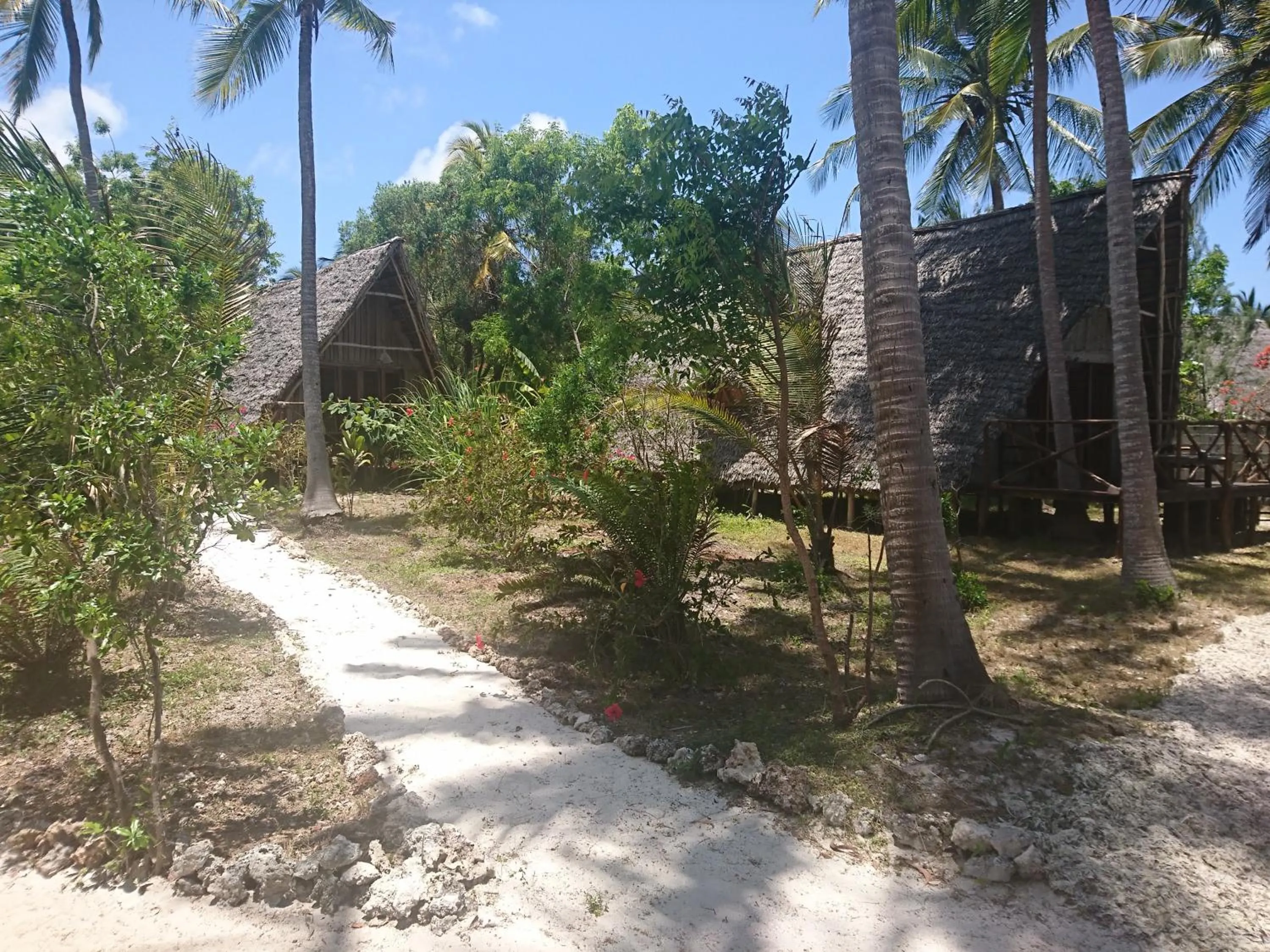 COCO REEF ECOLODGE