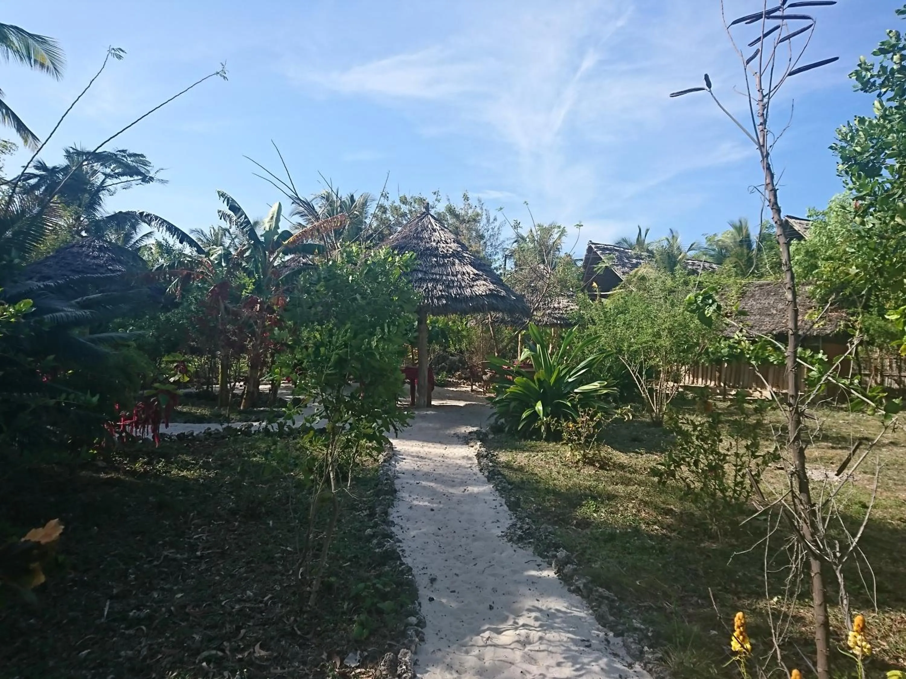 Restaurant/places to eat in COCO REEF ECOLODGE