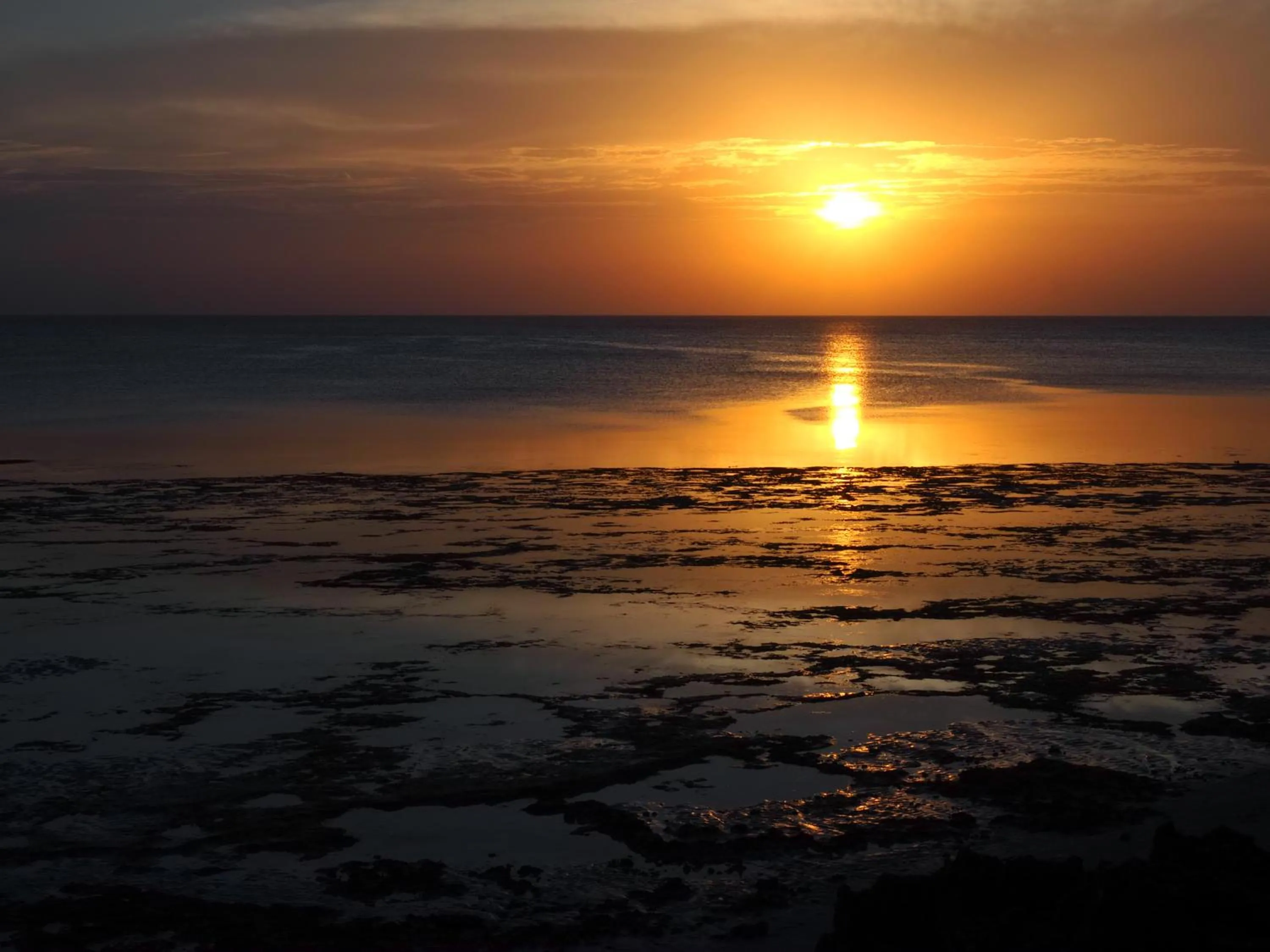 COCO REEF ECOLODGE