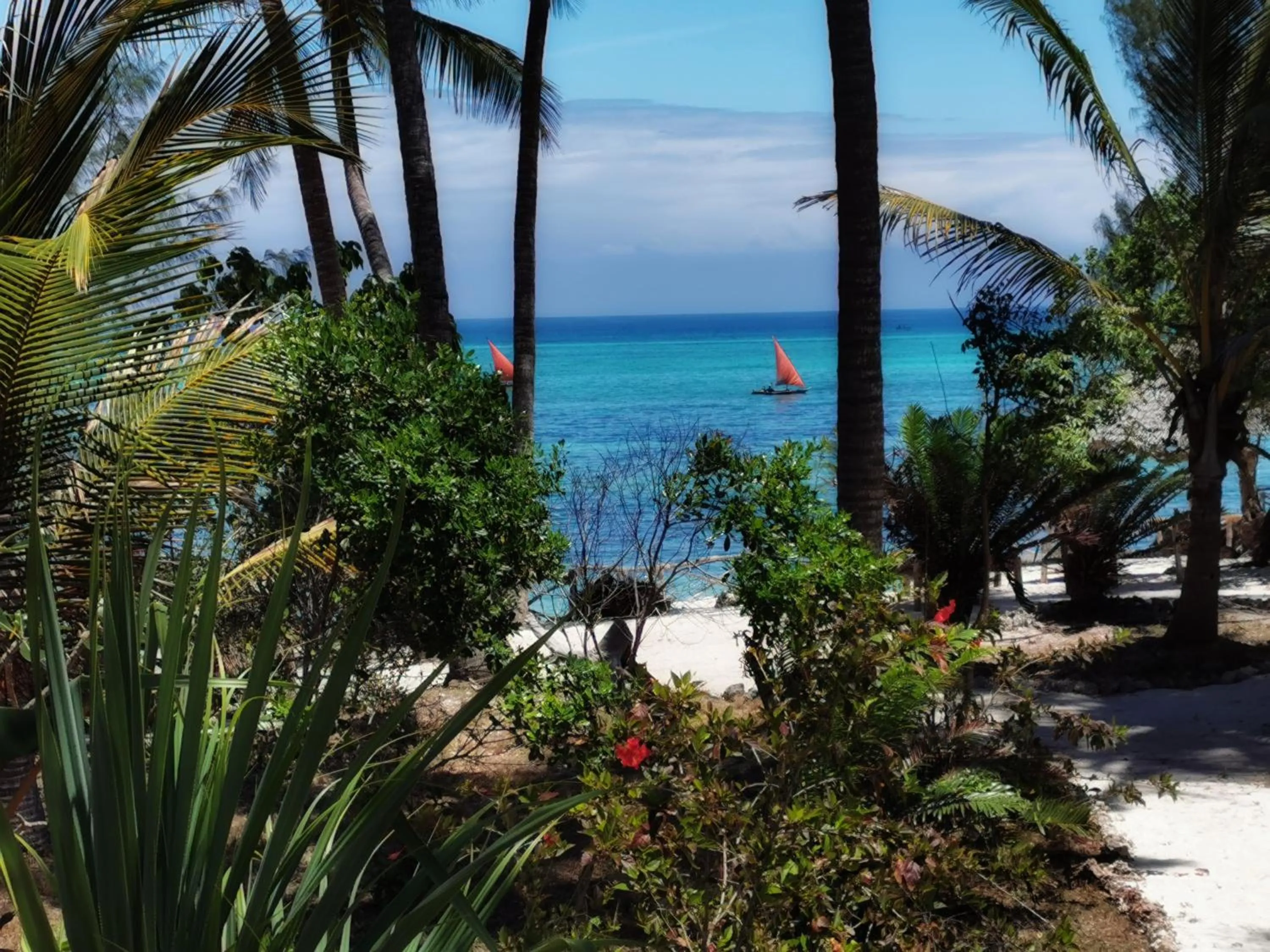 Sea view in COCO REEF ECOLODGE
