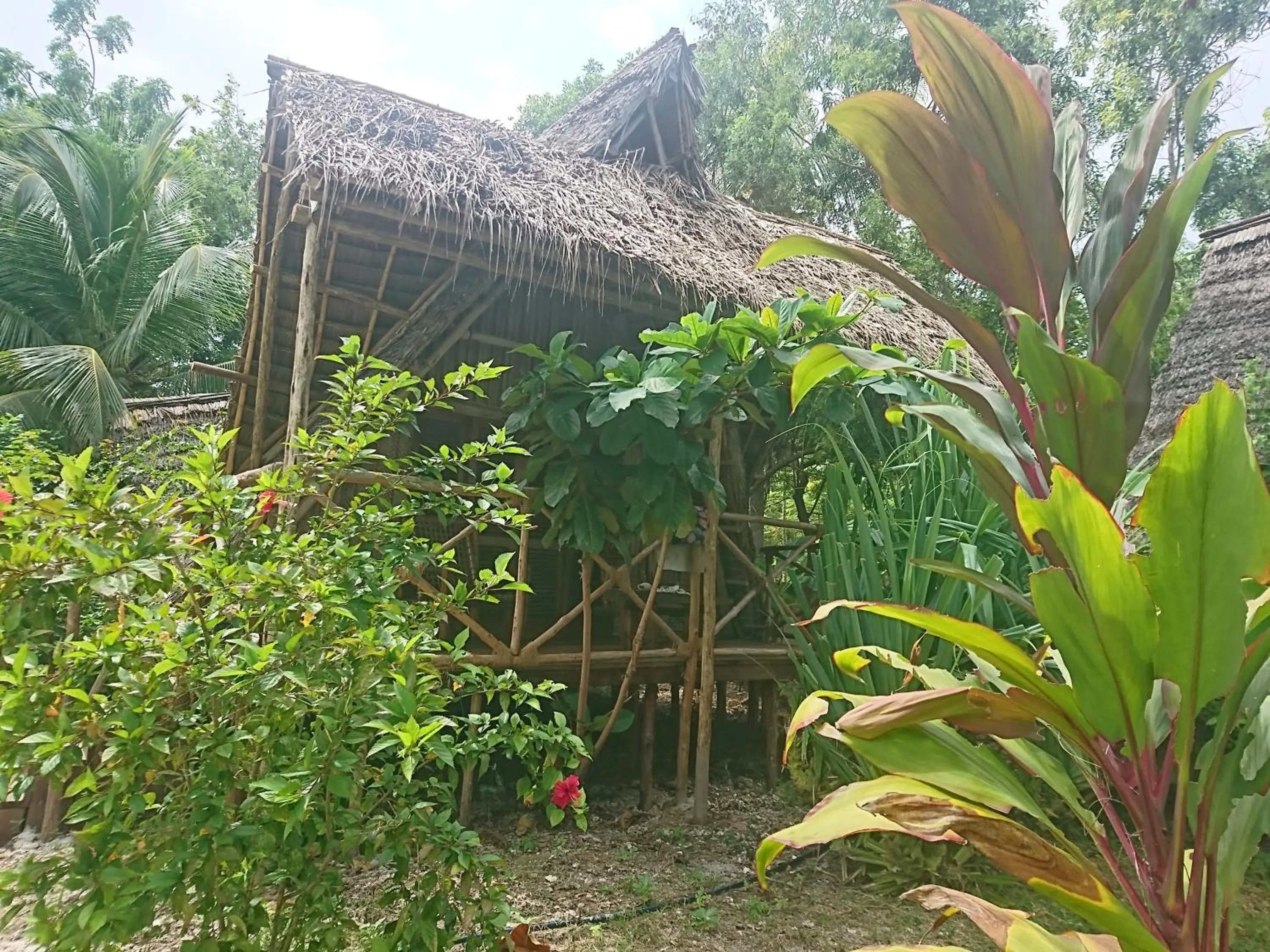 COCO REEF ECOLODGE