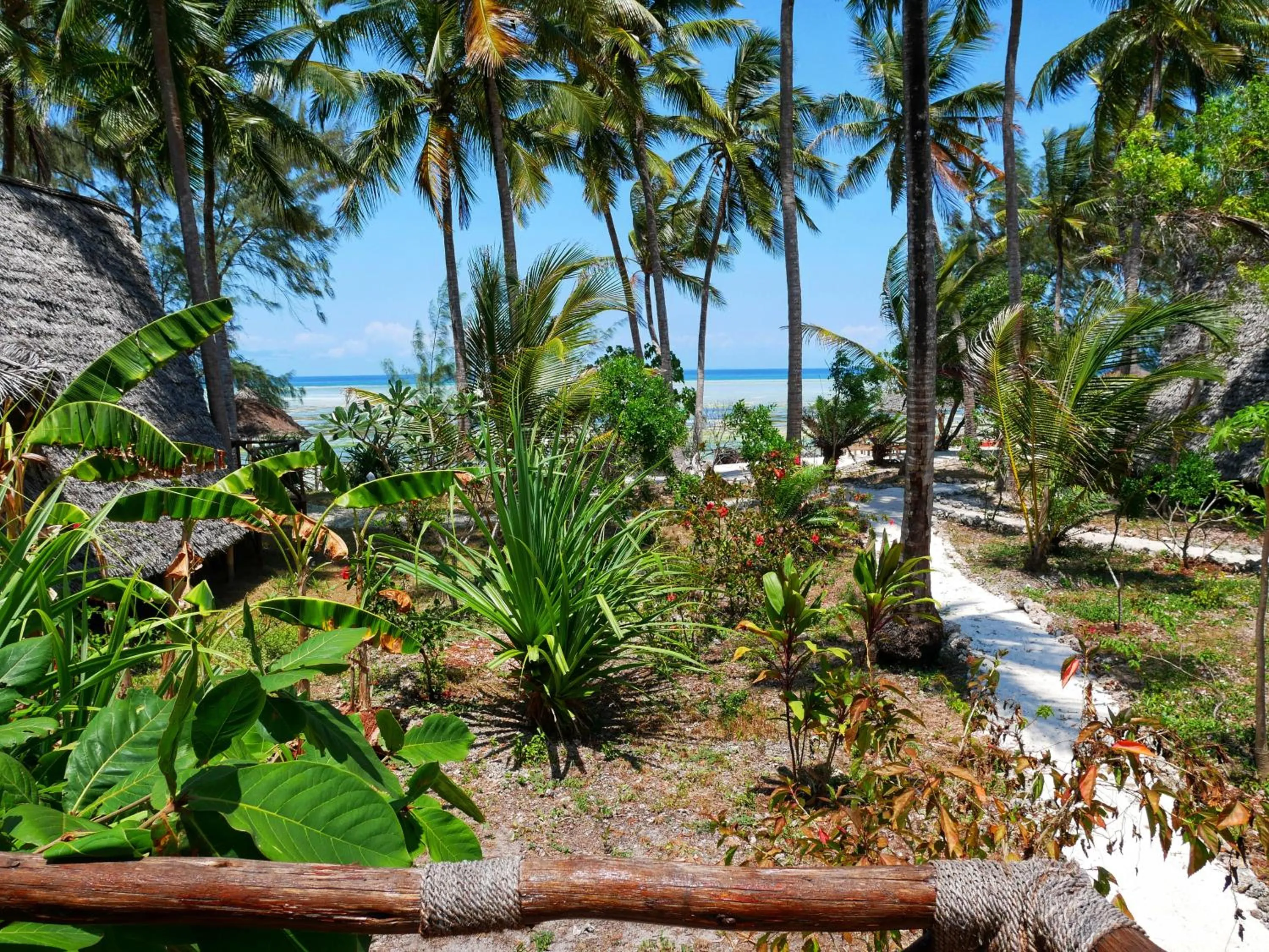 Sea view in COCO REEF ECOLODGE