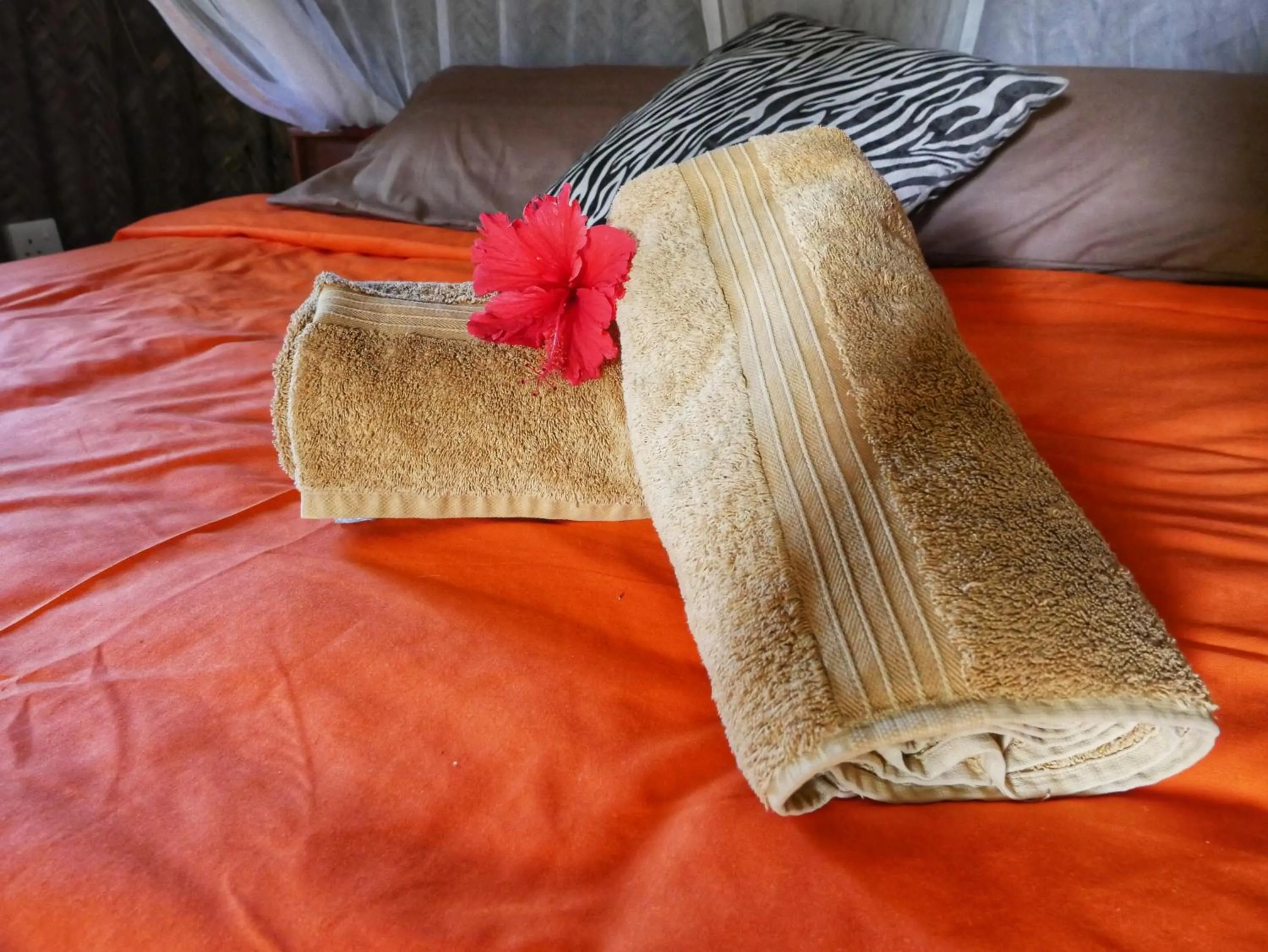 Bedroom, Bed in COCO REEF ECOLODGE