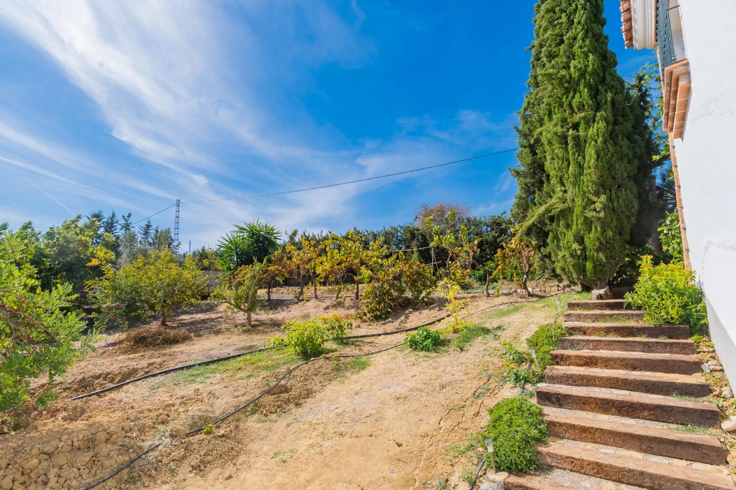Patio in Cubo's Casa Los Sueños