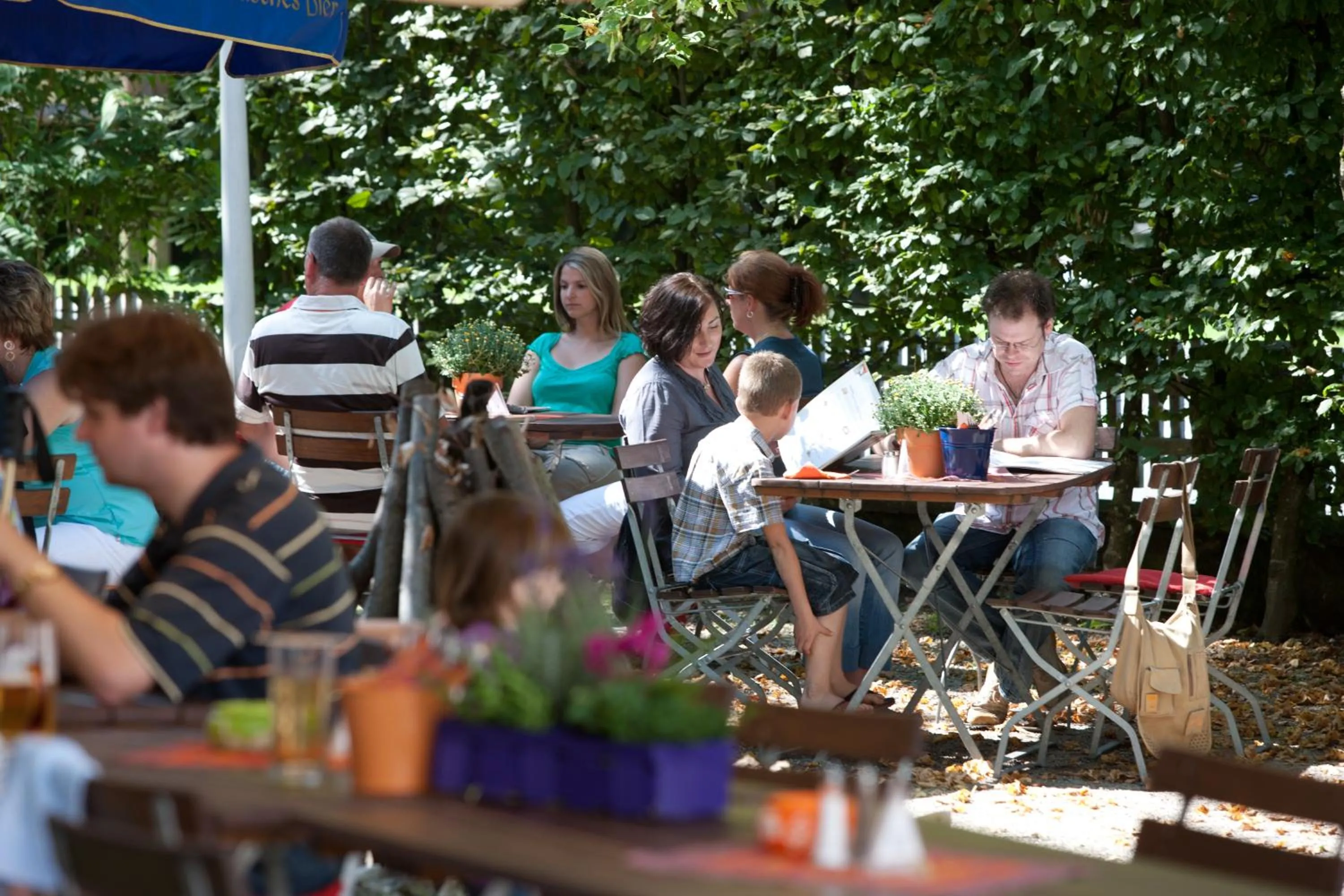 Garden in Behringers Freizeit - und Tagungshotel