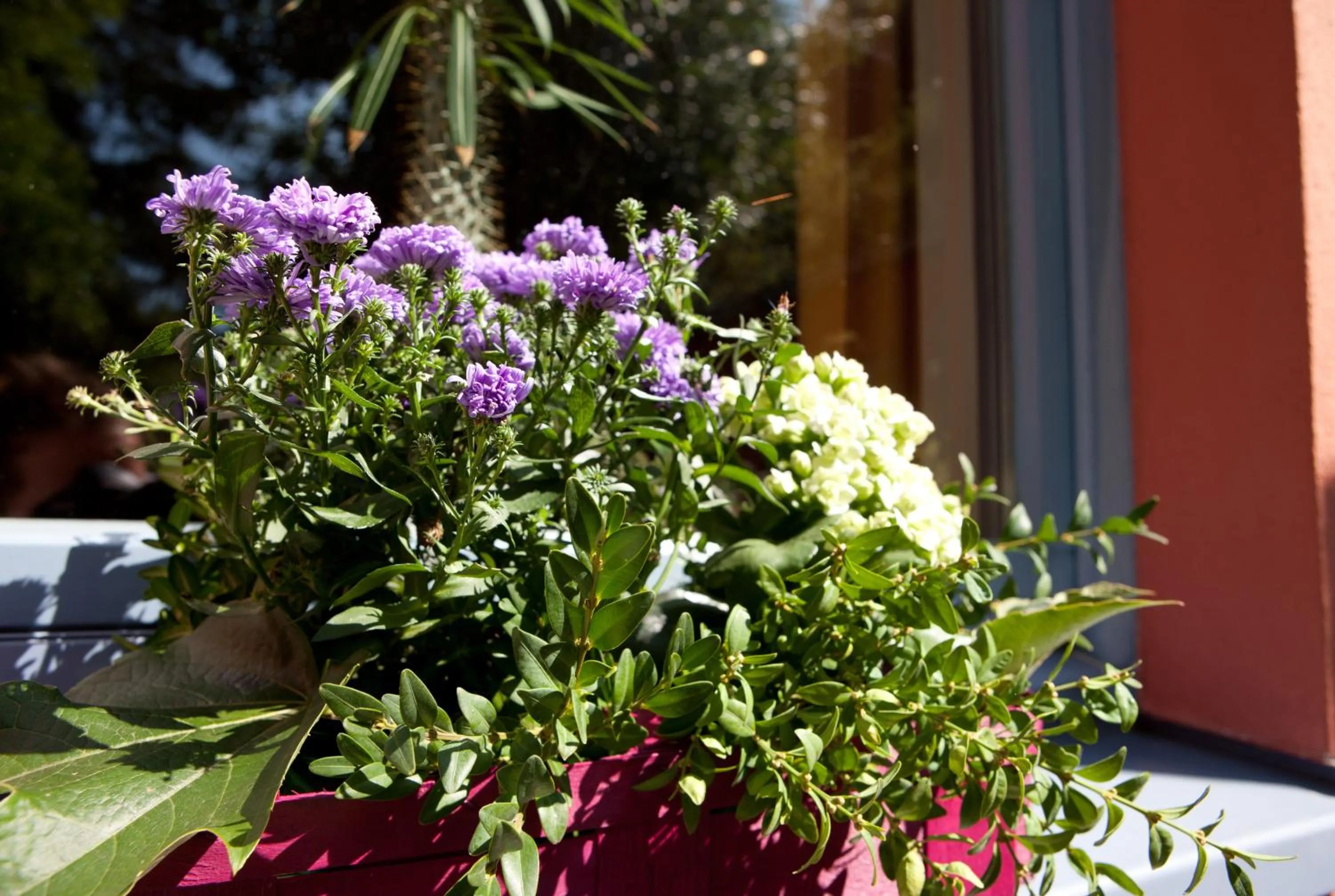 Balcony/Terrace in Behringers Freizeit - und Tagungshotel