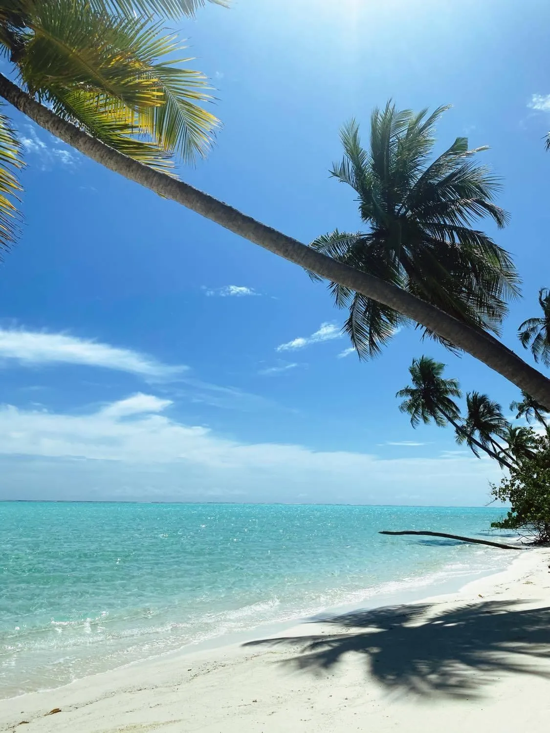 Beach in Wow Inn Keyodhoo