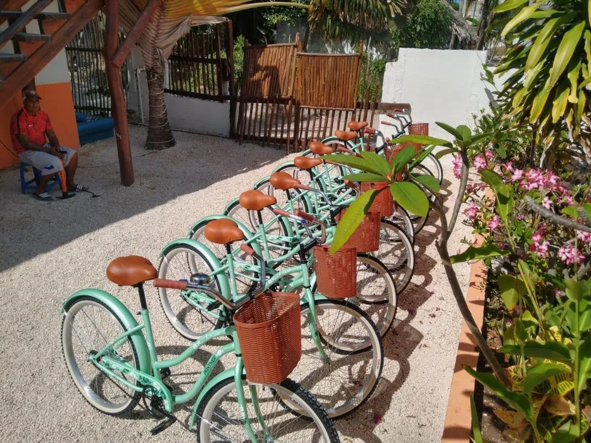 Garden in Posada Hondumar Holbox