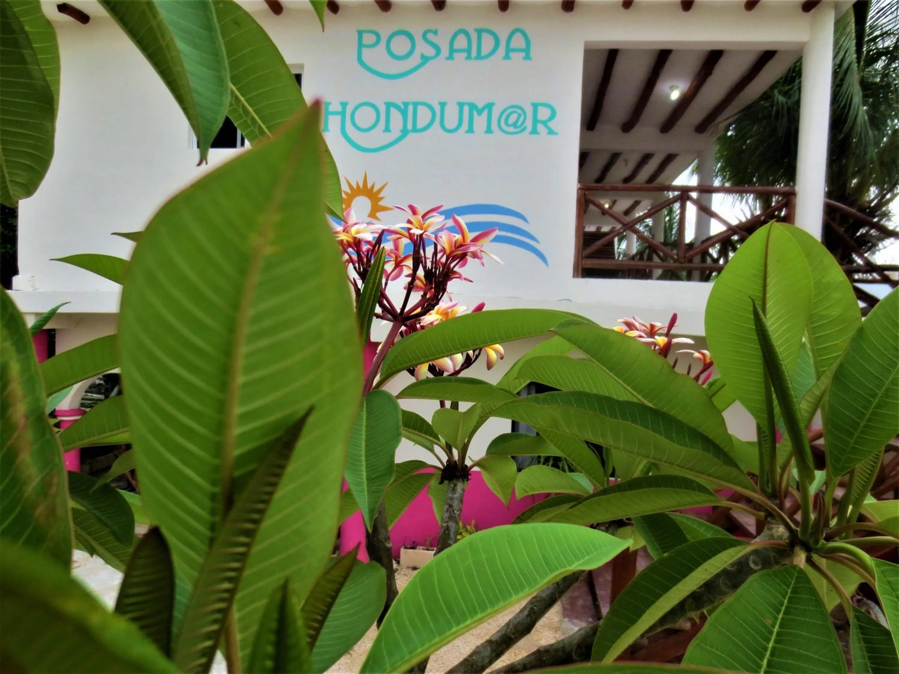 Logo/Certificate/Sign in Posada Hondumar Holbox
