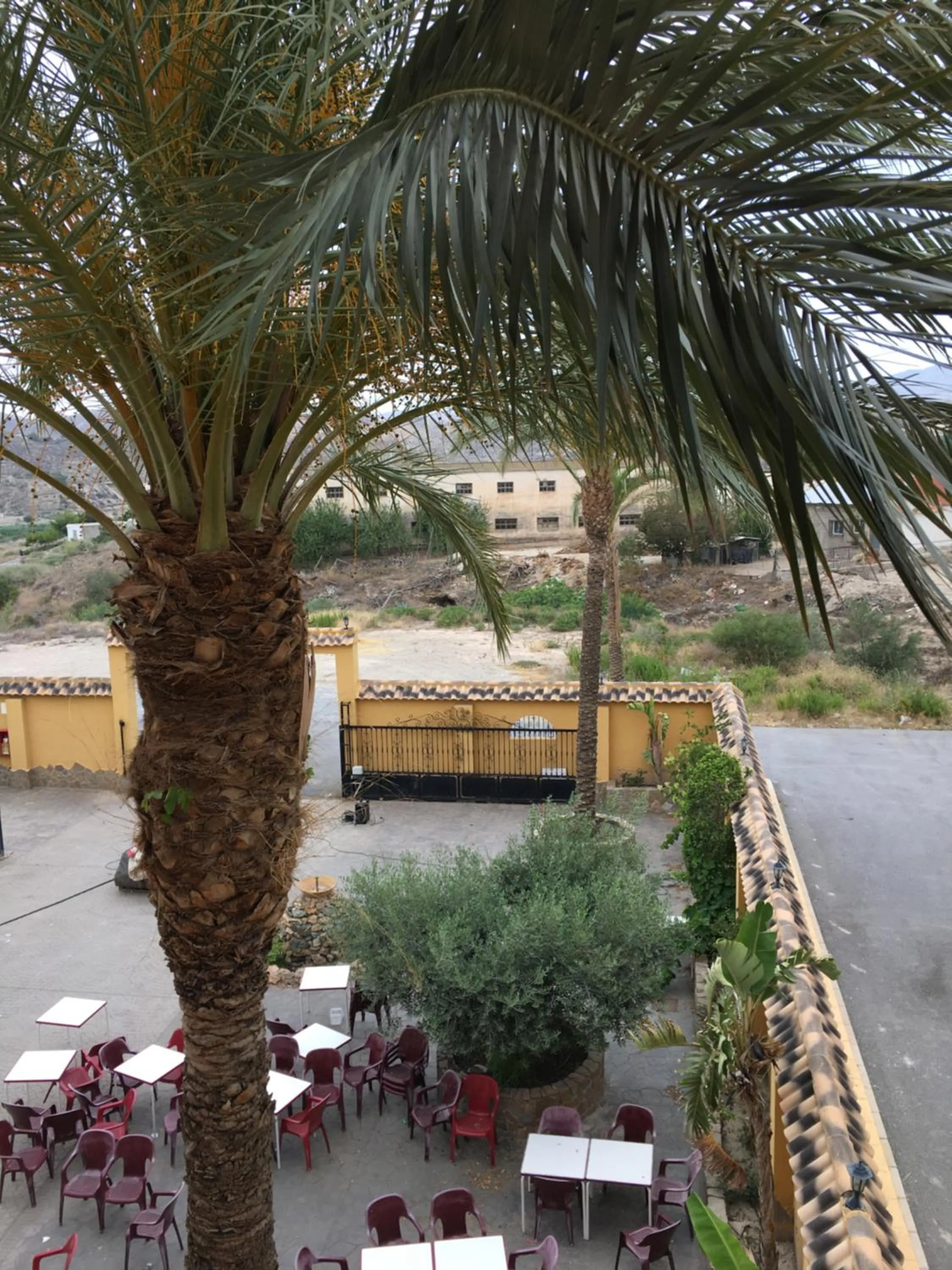 Hostal Mesón Arboleas
