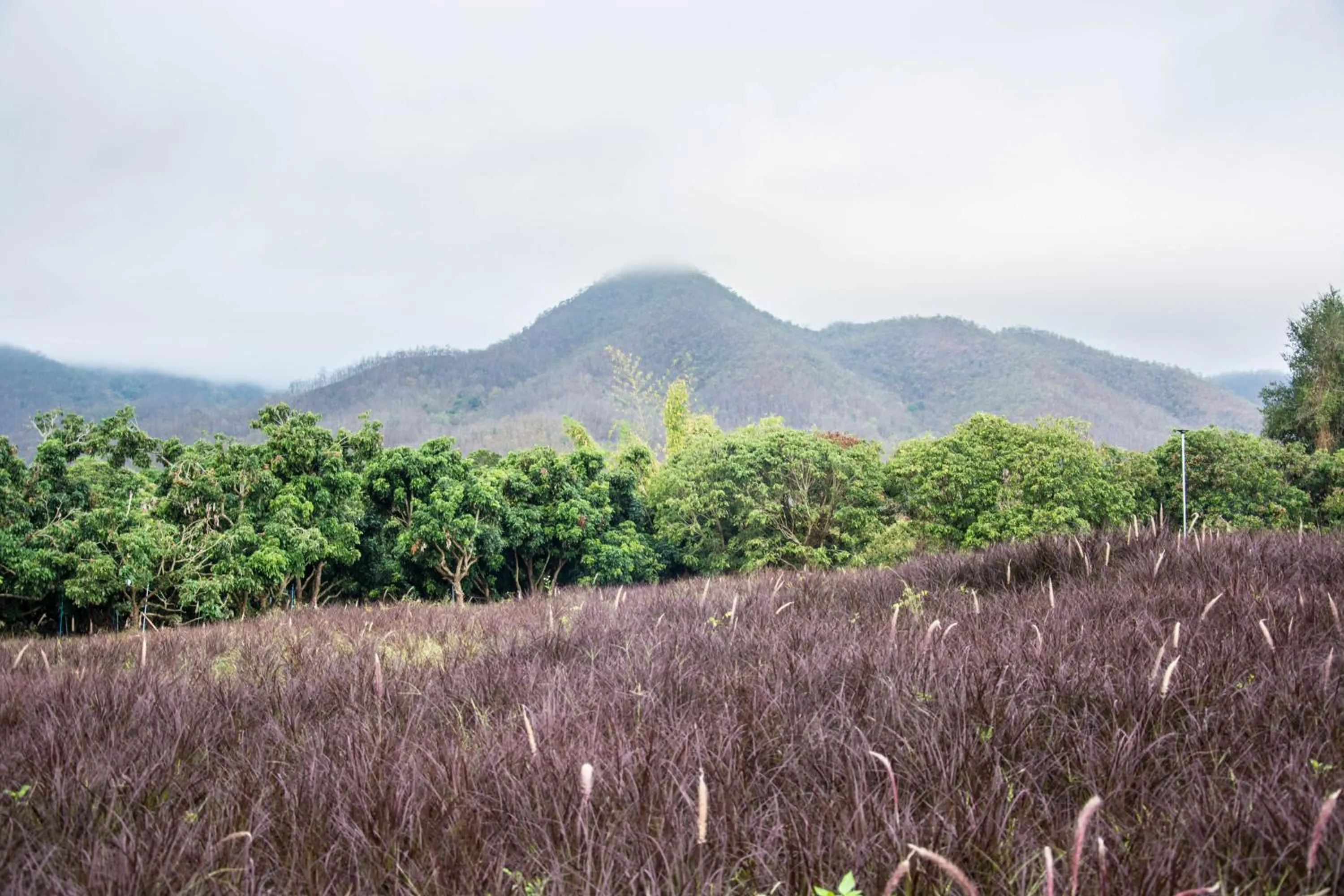 Natural landscape in ไร่บำรุงผล Raibumrungphol