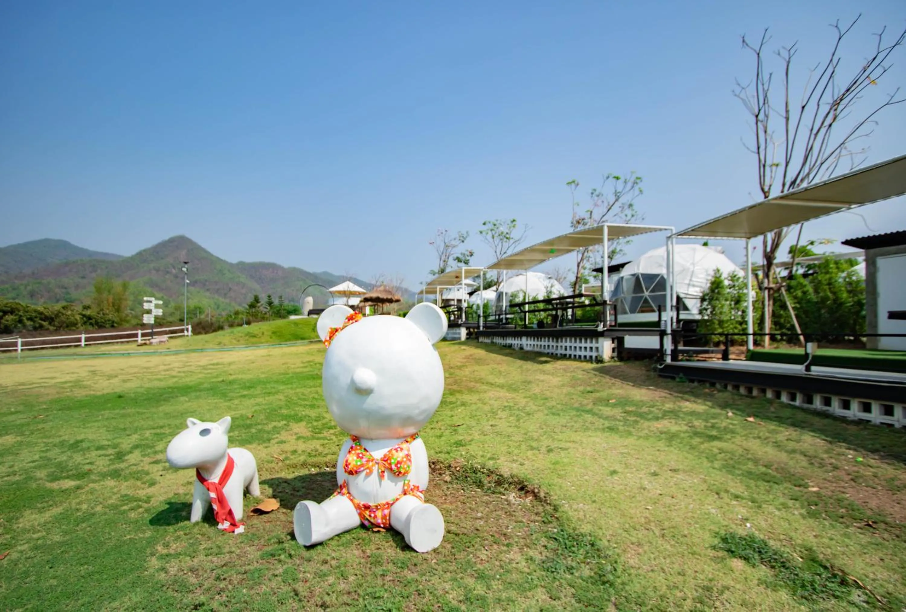 View (from property/room) in ไร่บำรุงผล Raibumrungphol