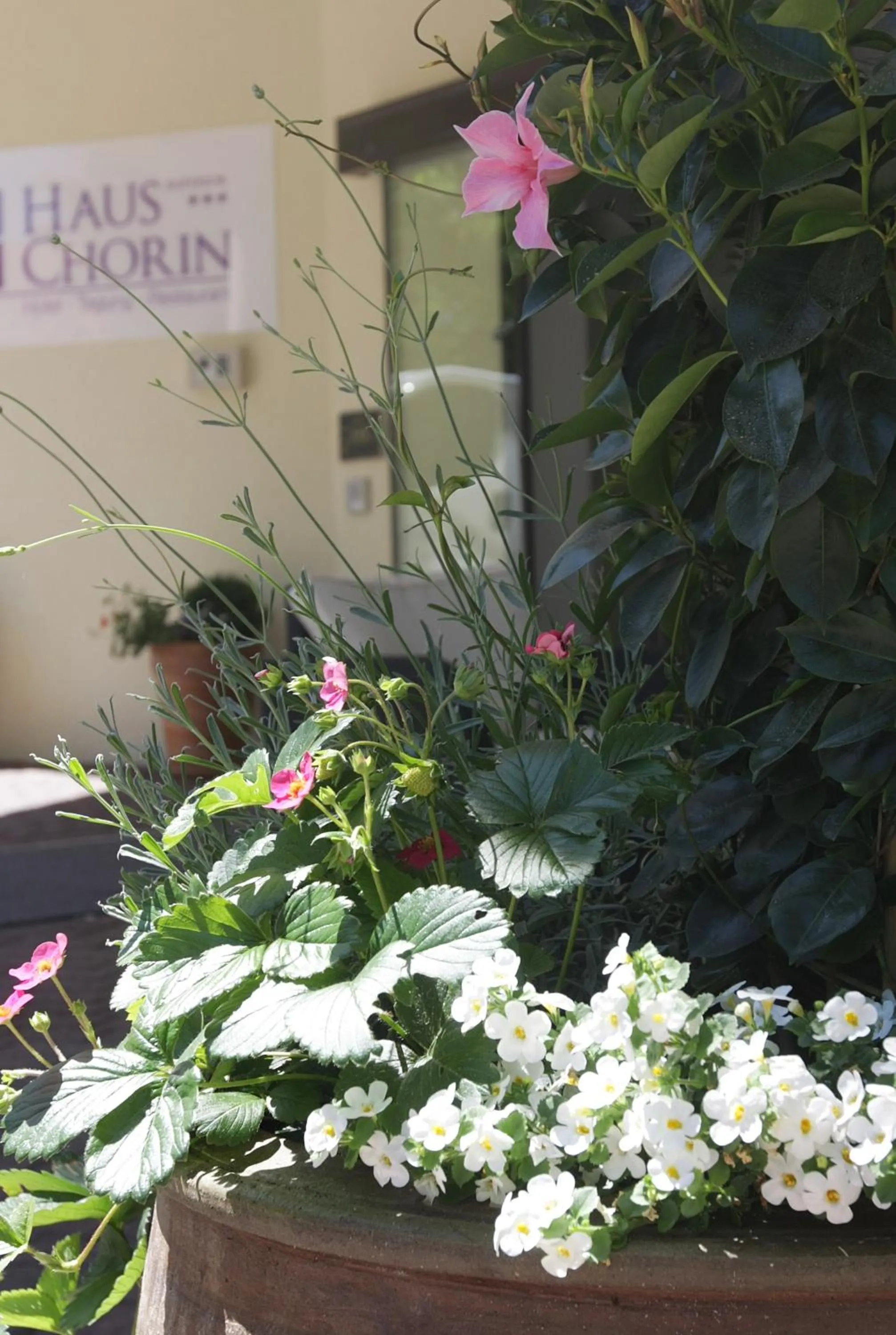 Facade/entrance in Hotel Haus Chorin