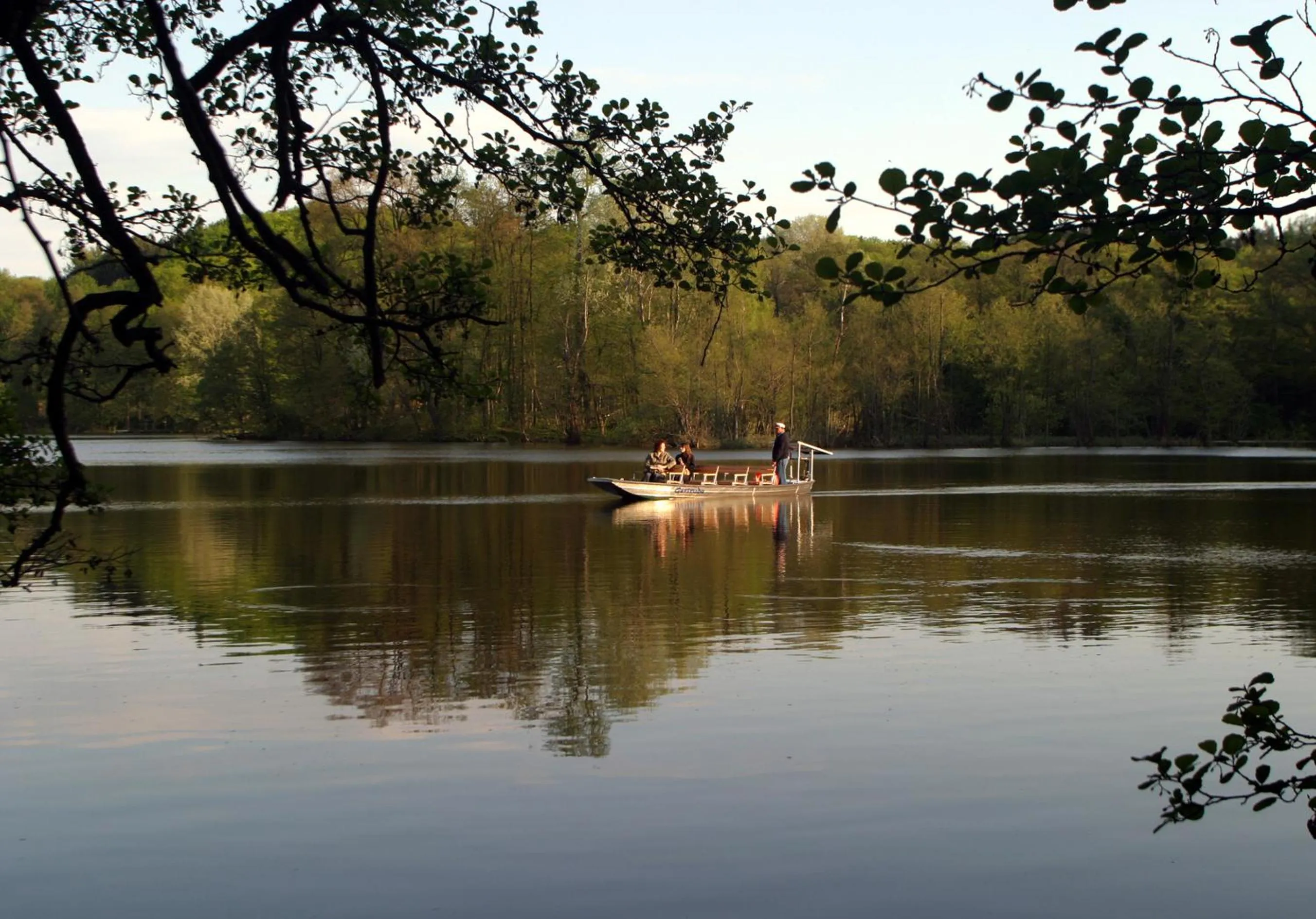 Area and facilities in Hotel Haus Chorin
