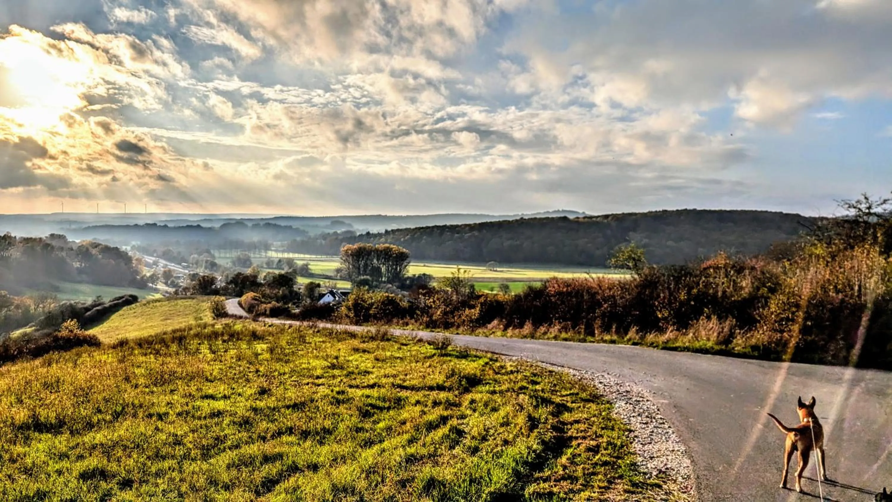 Spring in Hotel Panorama