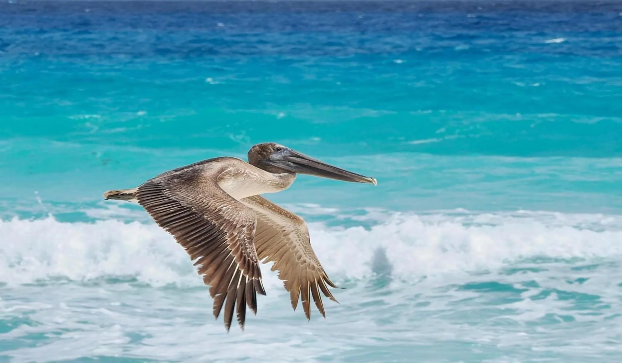 Day in Solymar Beach Condos