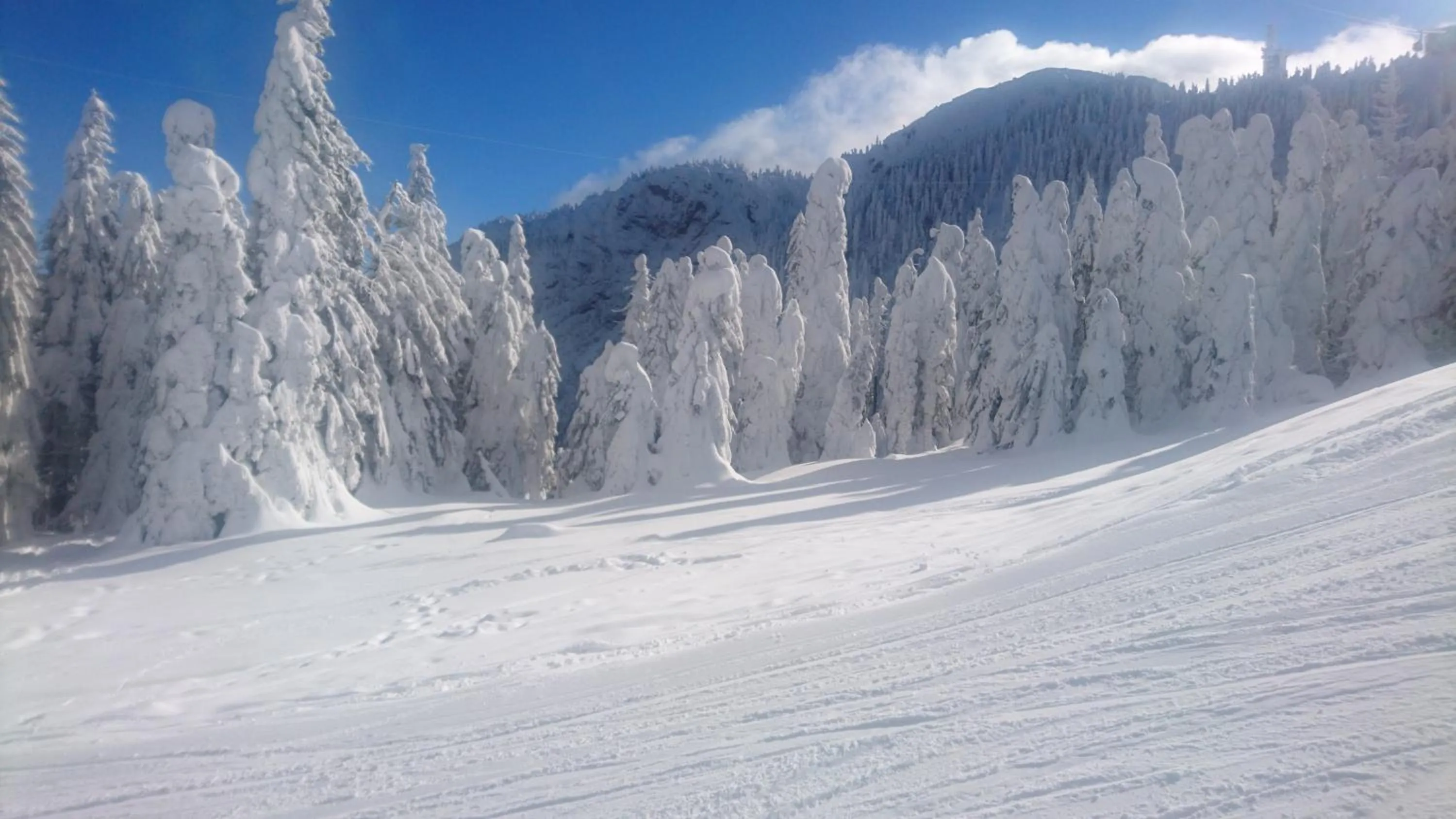 Apartament 2706 Alpin Resort, etaj 7, Poiana Brașov