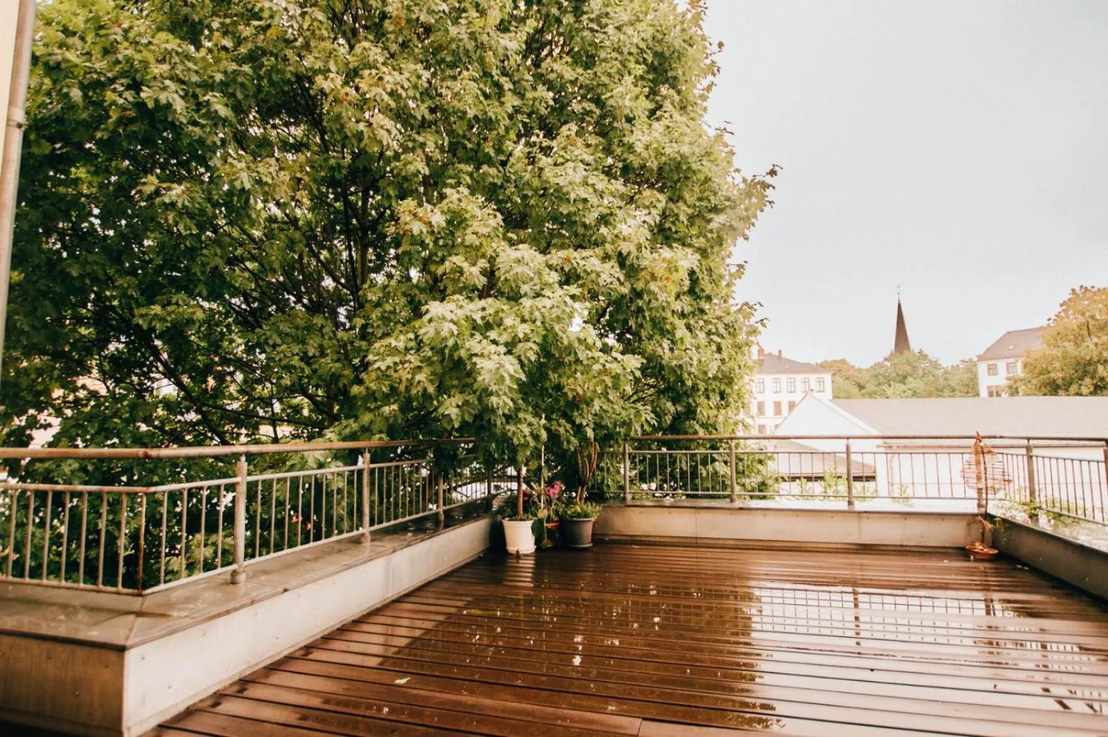 Natural landscape in Hotel My Bed Dresden