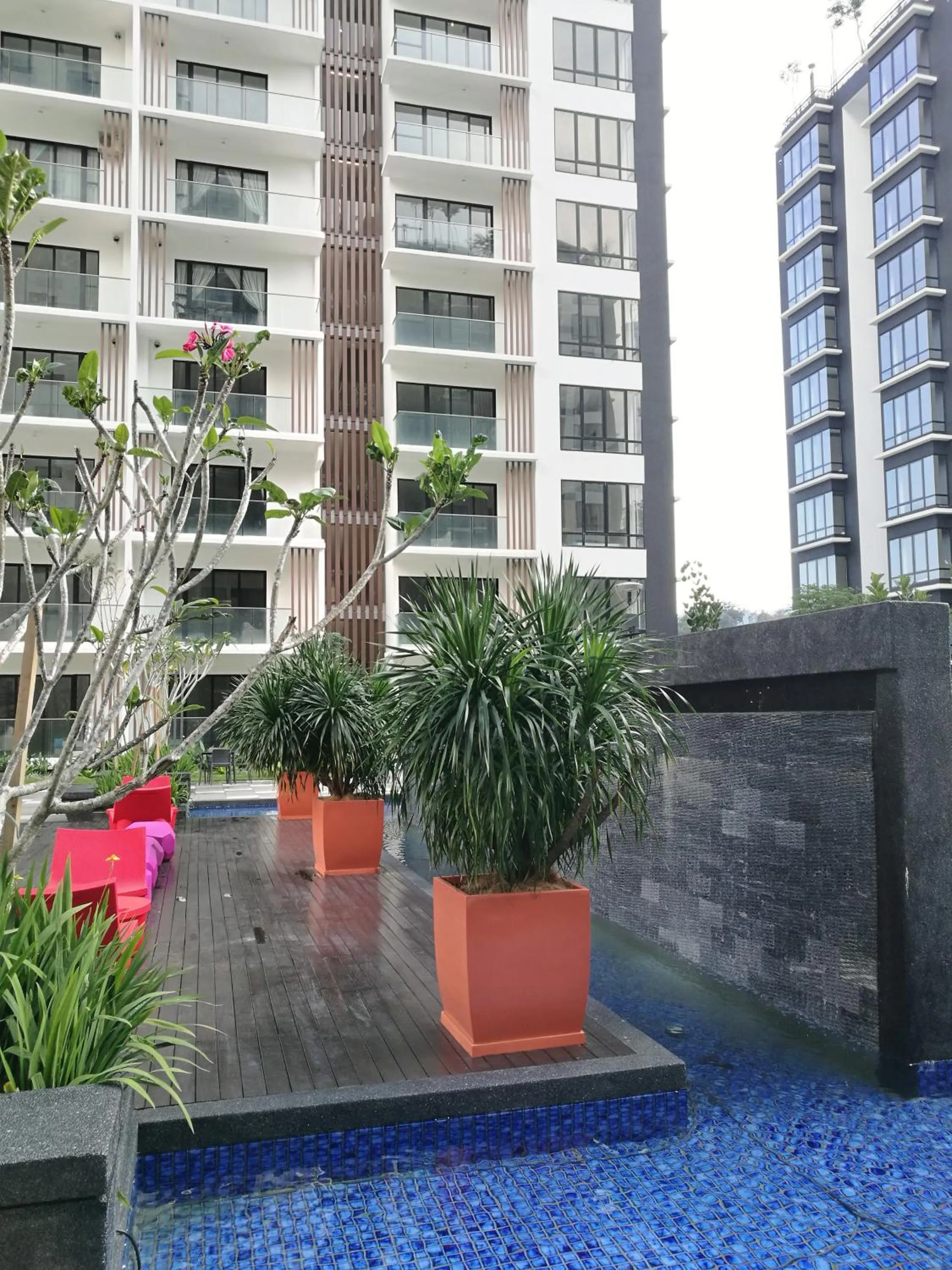 Garden in The Bear@Midhill Genting Highlands (Free WiFi)