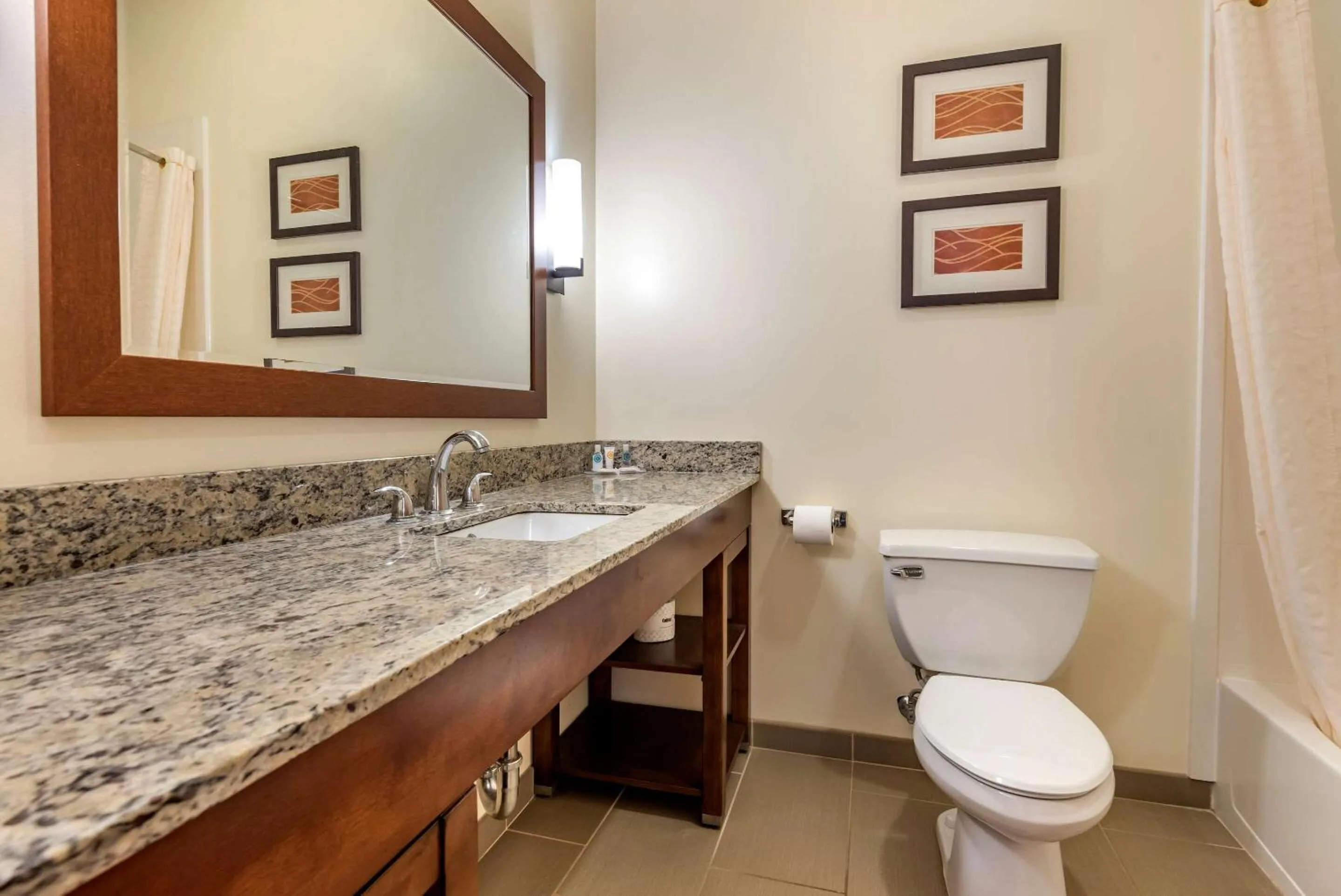 Bathroom in Comfort Inn Apalachin - Binghamton W Route 17