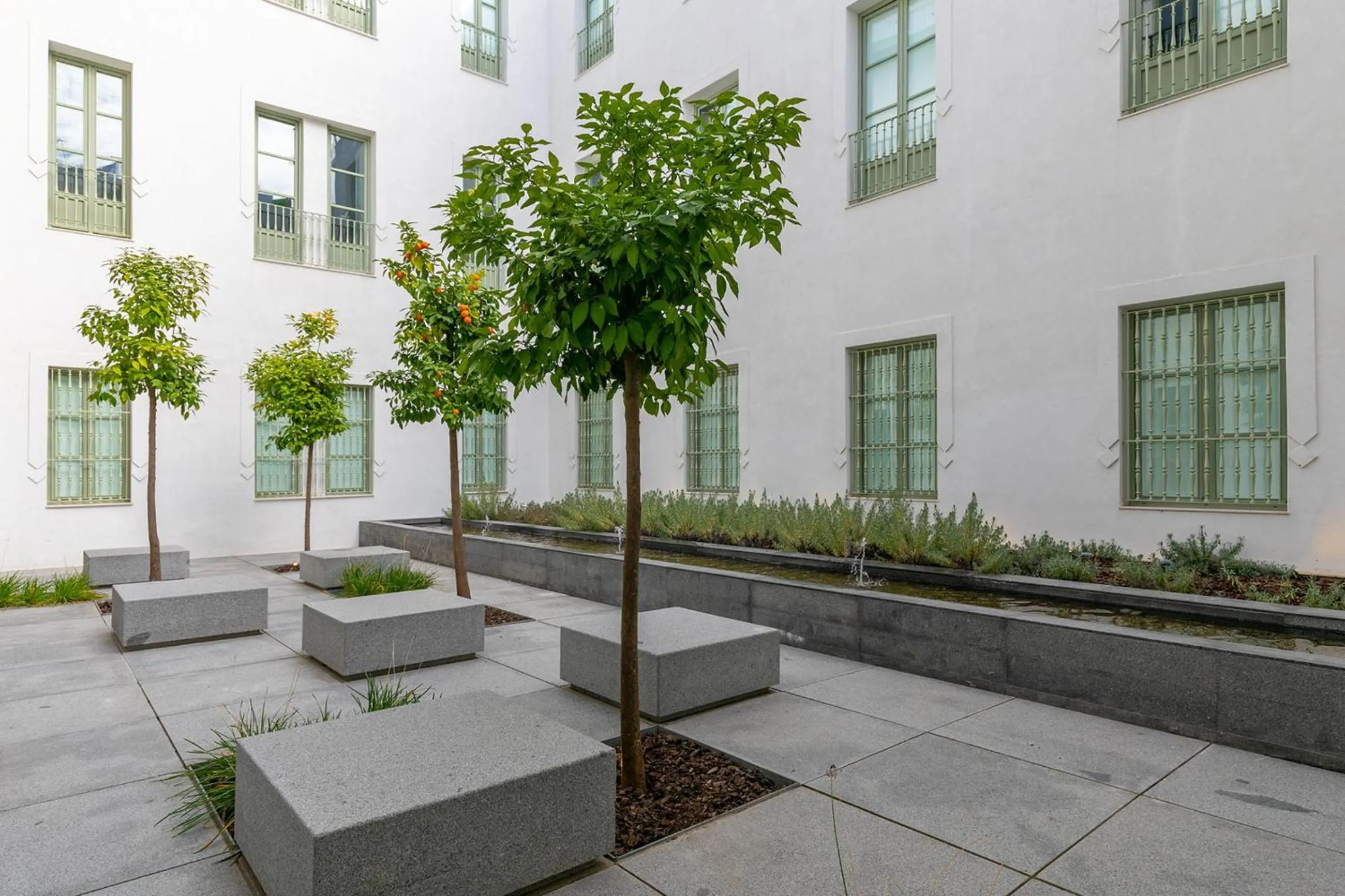 Patio in Holiday Rentals Los Salados