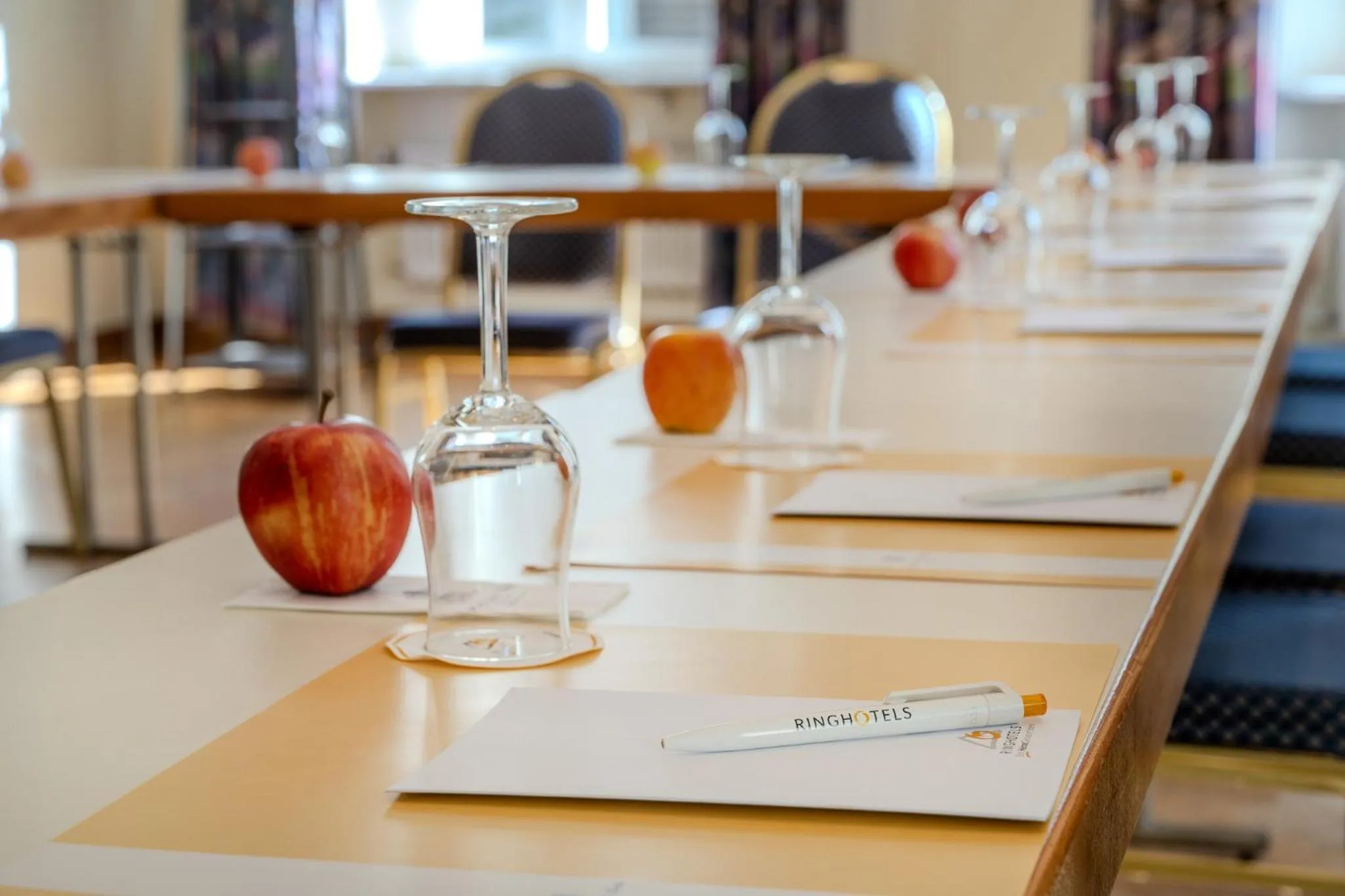 Meeting/conference room in Ringhotel Seehof