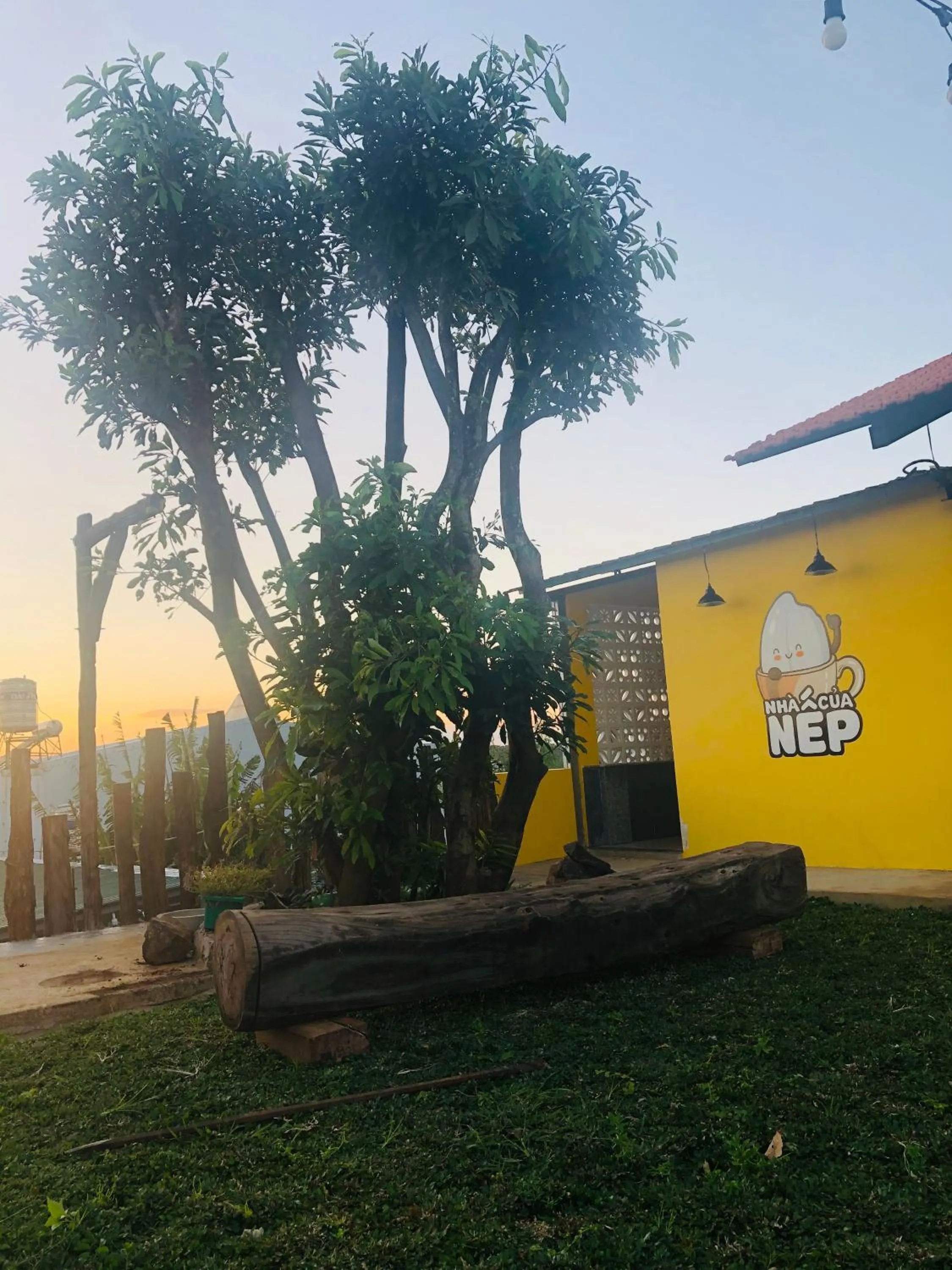 Day in Nhà của Nếp