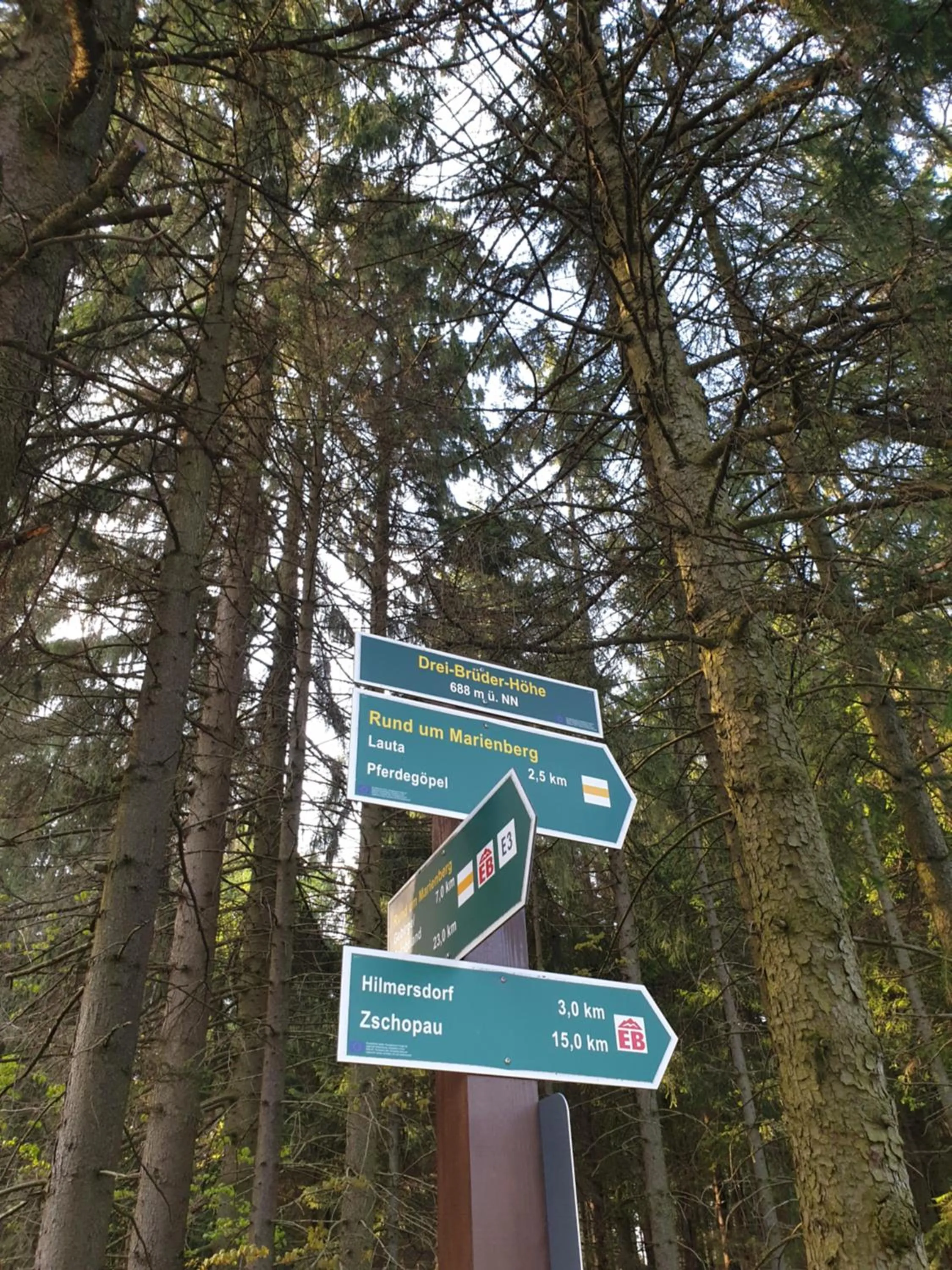 Garden in Berghotel Drei Brüder Höhe