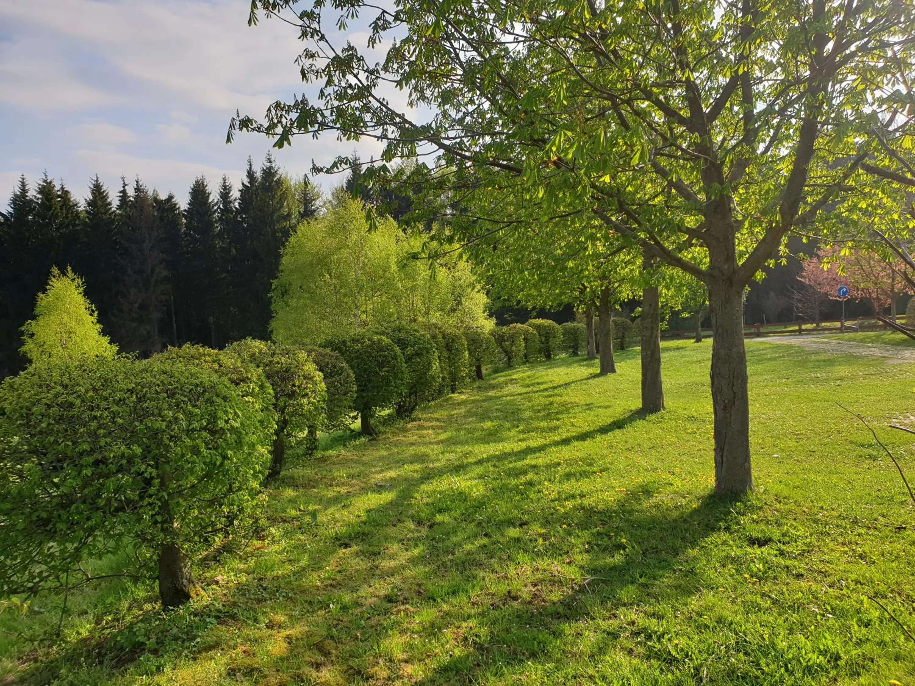 Garden in Berghotel Drei Brüder Höhe