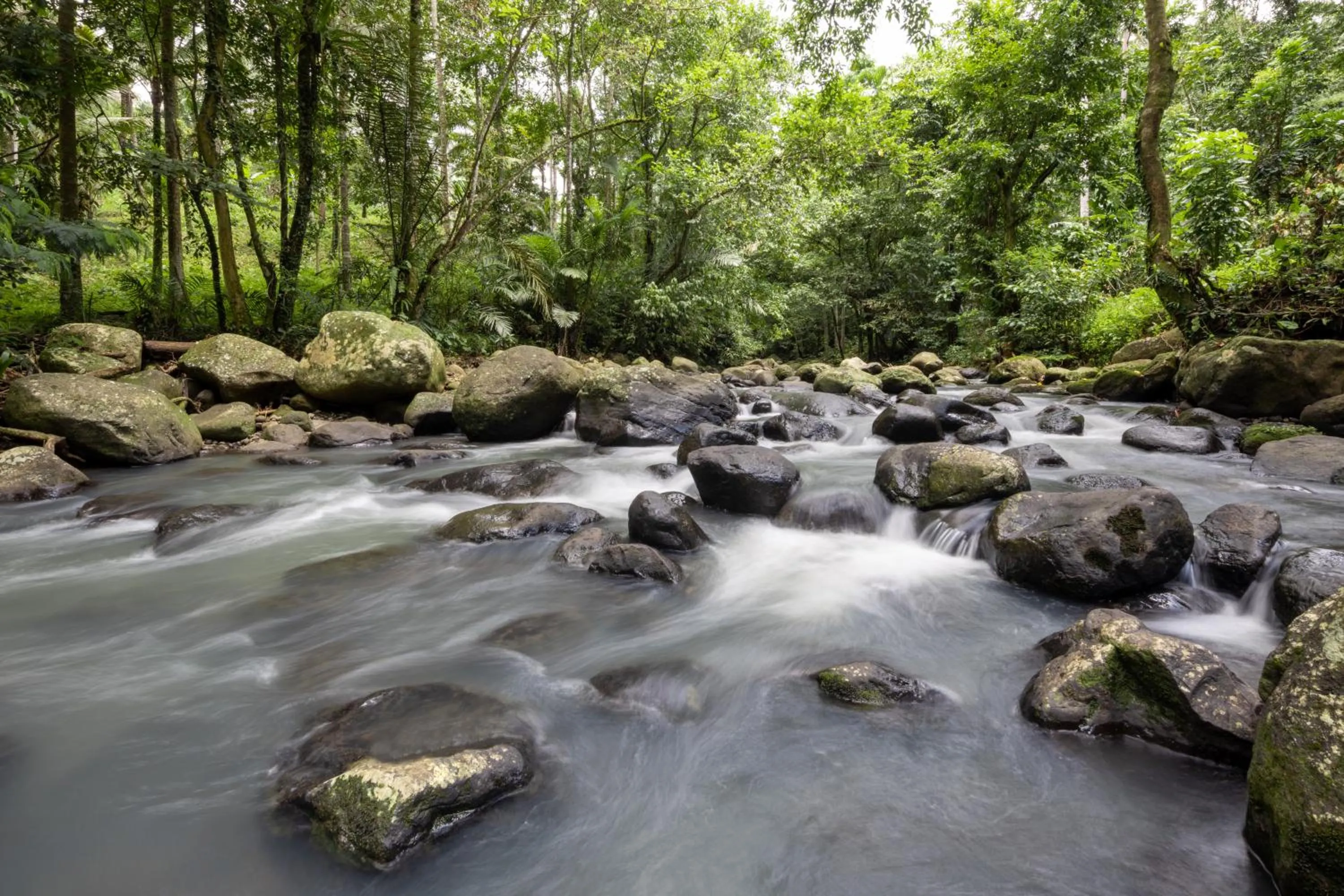 River view in Asep Gumi Retreat - Soul of Nature in Tabanan