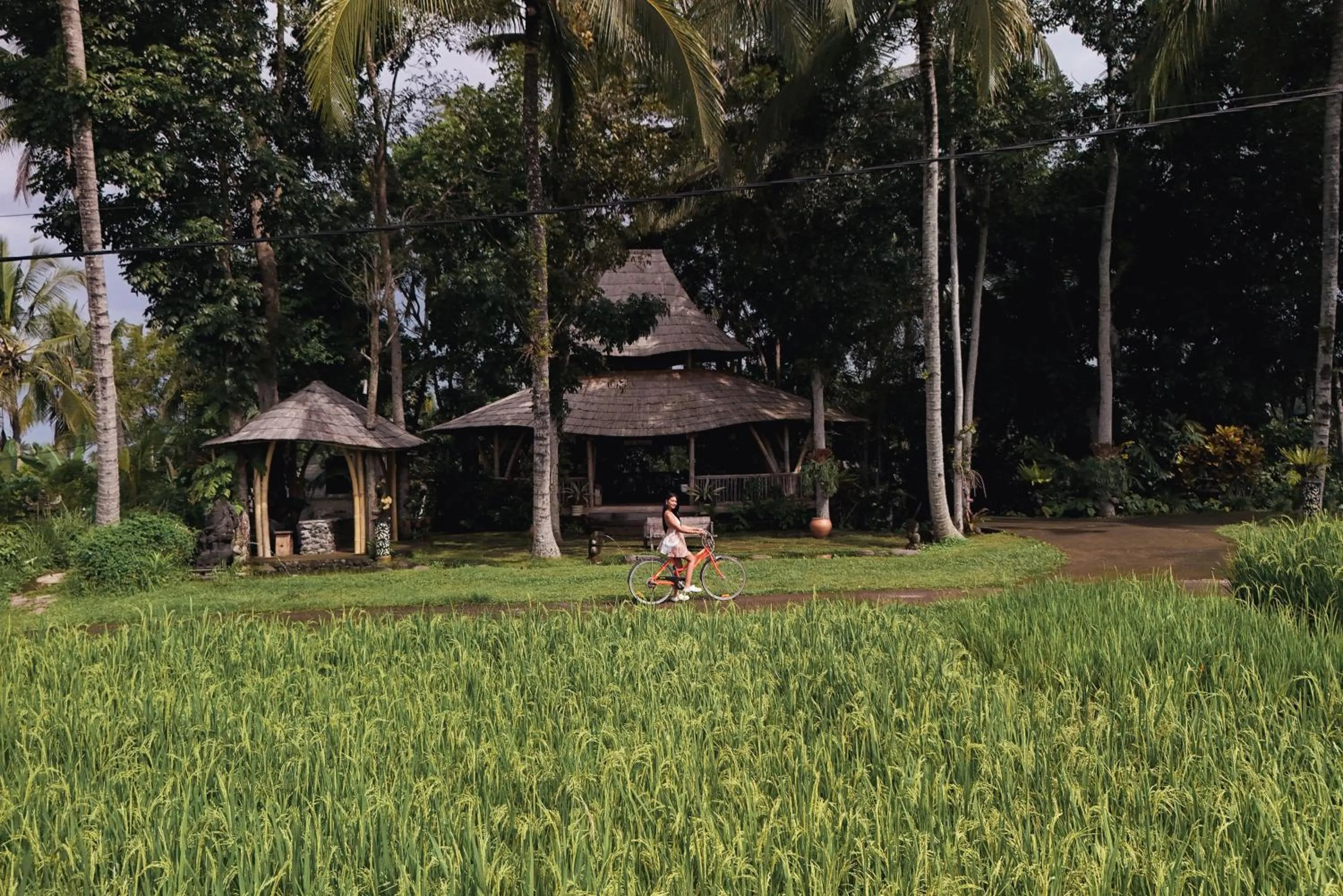 Asep Gumi Retreat - Soul of Nature in Tabanan