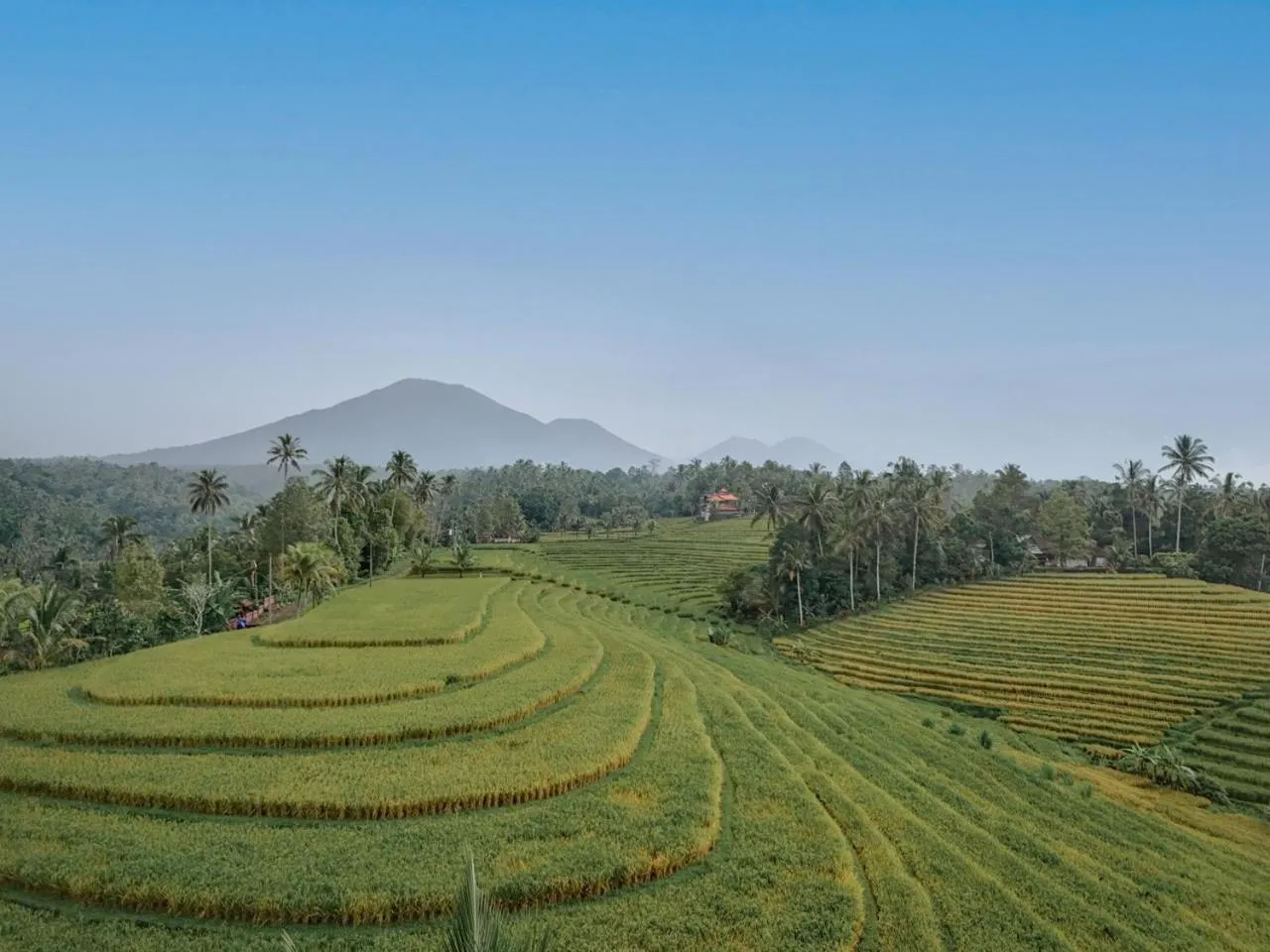 Asep Gumi Retreat - Soul of Nature in Tabanan