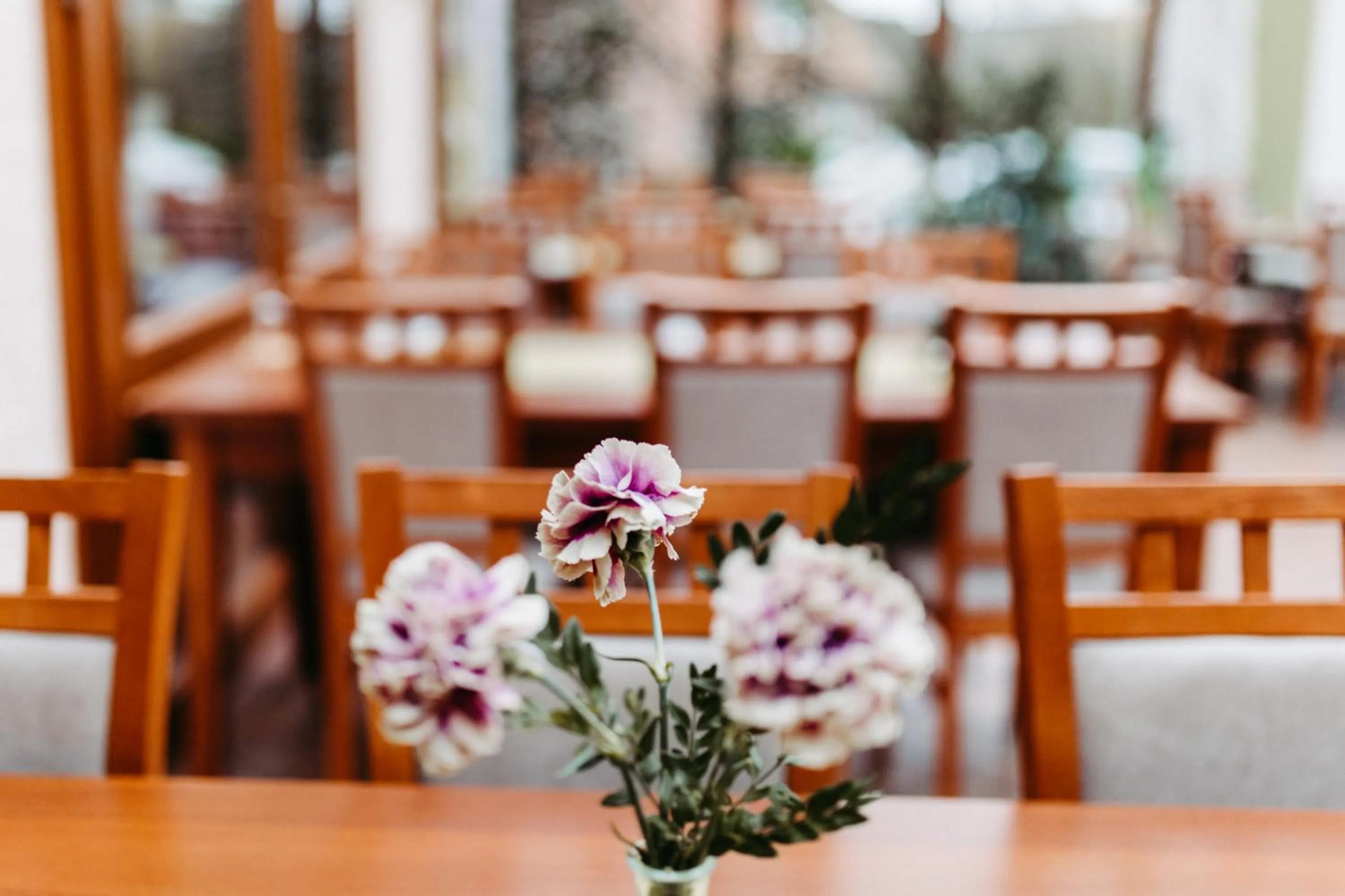 Restaurant/places to eat in Akzent Hotel Zur Grünen Eiche