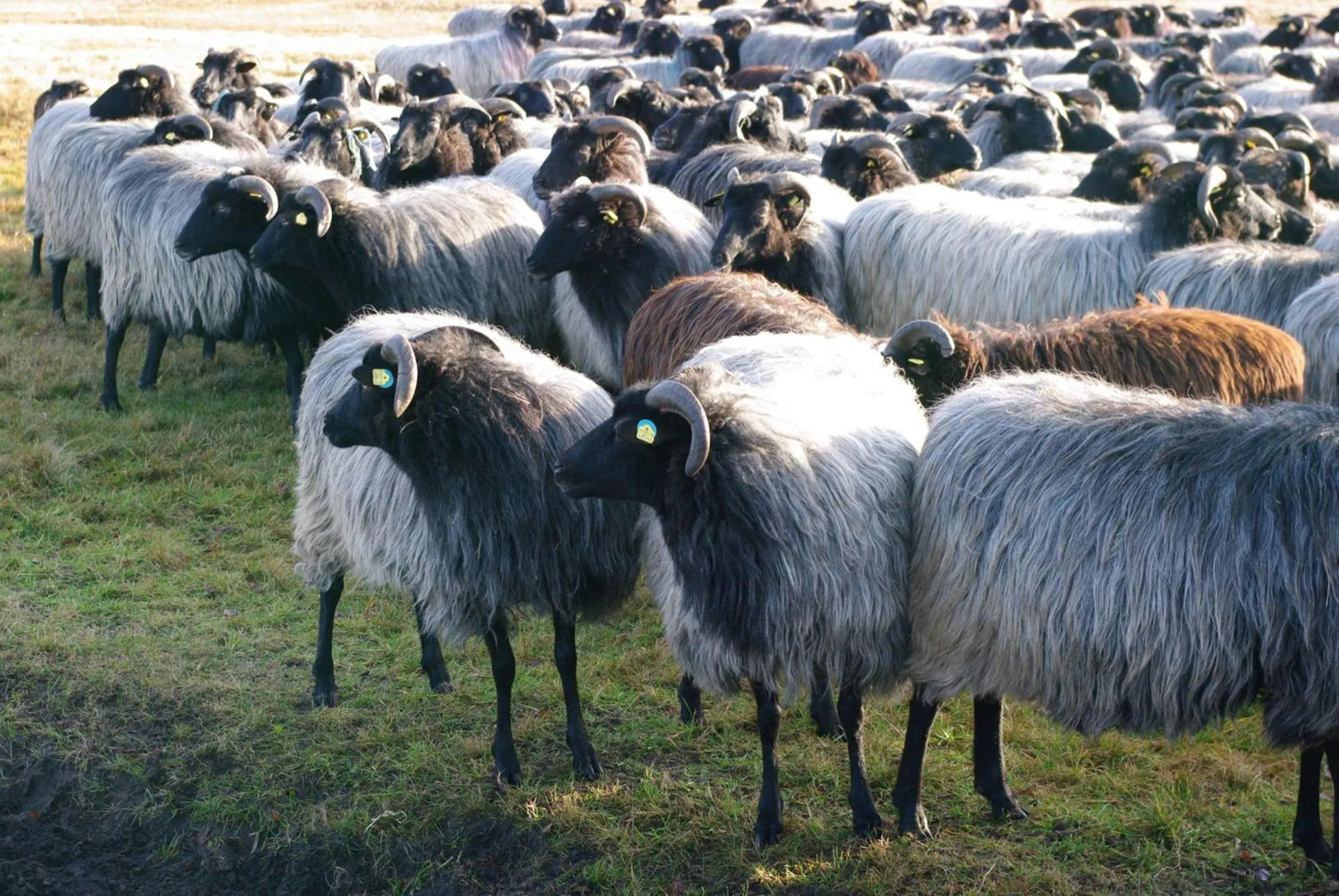 Other in Akzent Hotel Zur Grünen Eiche