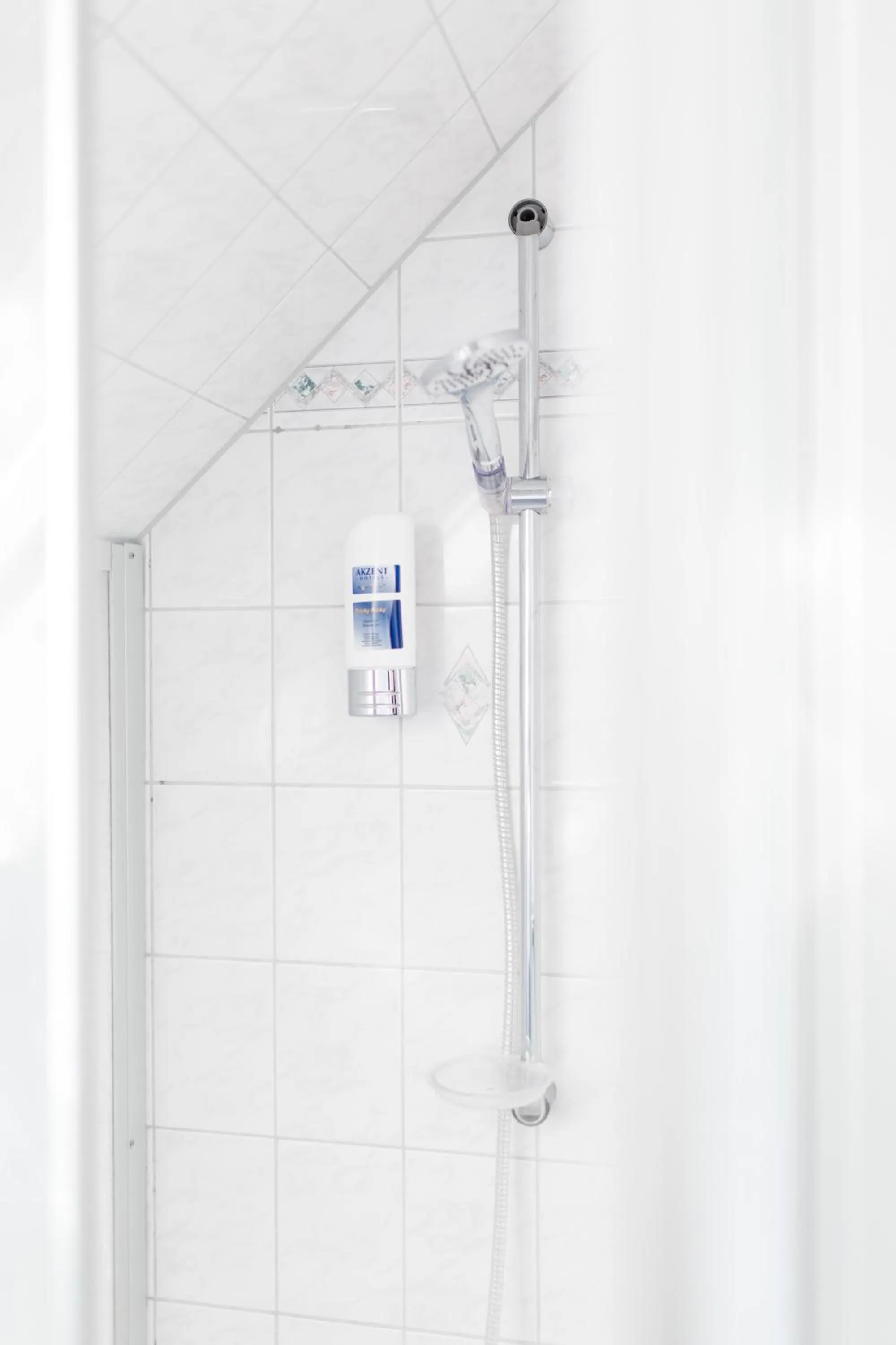 Shower in Akzent Hotel Zur Grünen Eiche