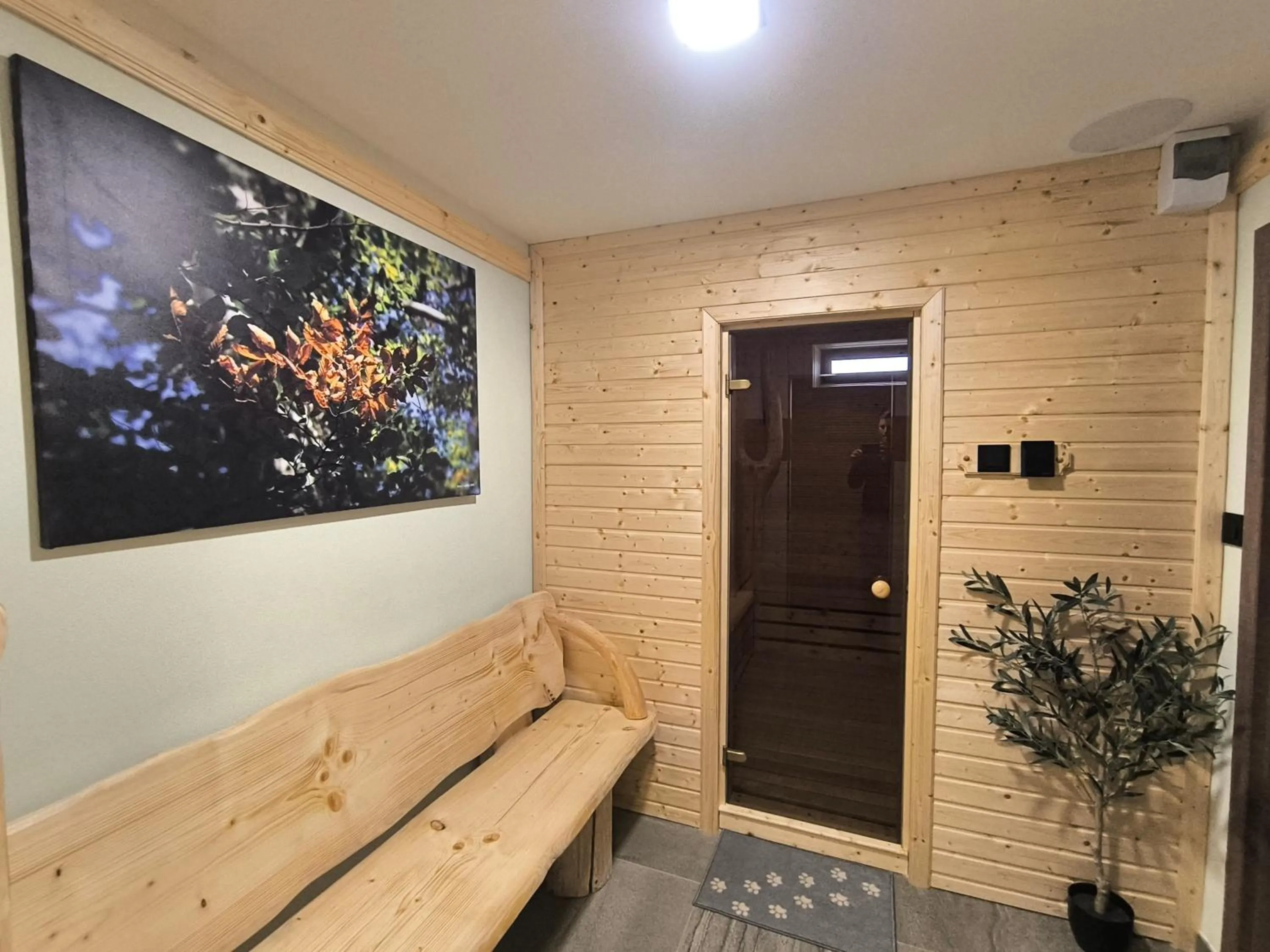 Sauna in Hotel Džbán