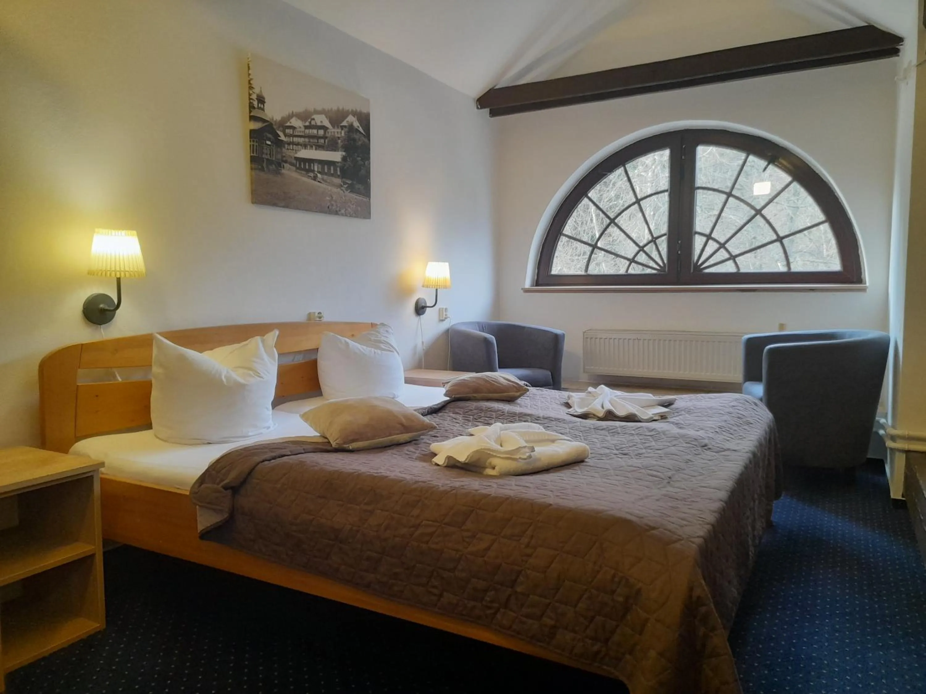 Bed in Hotel Džbán