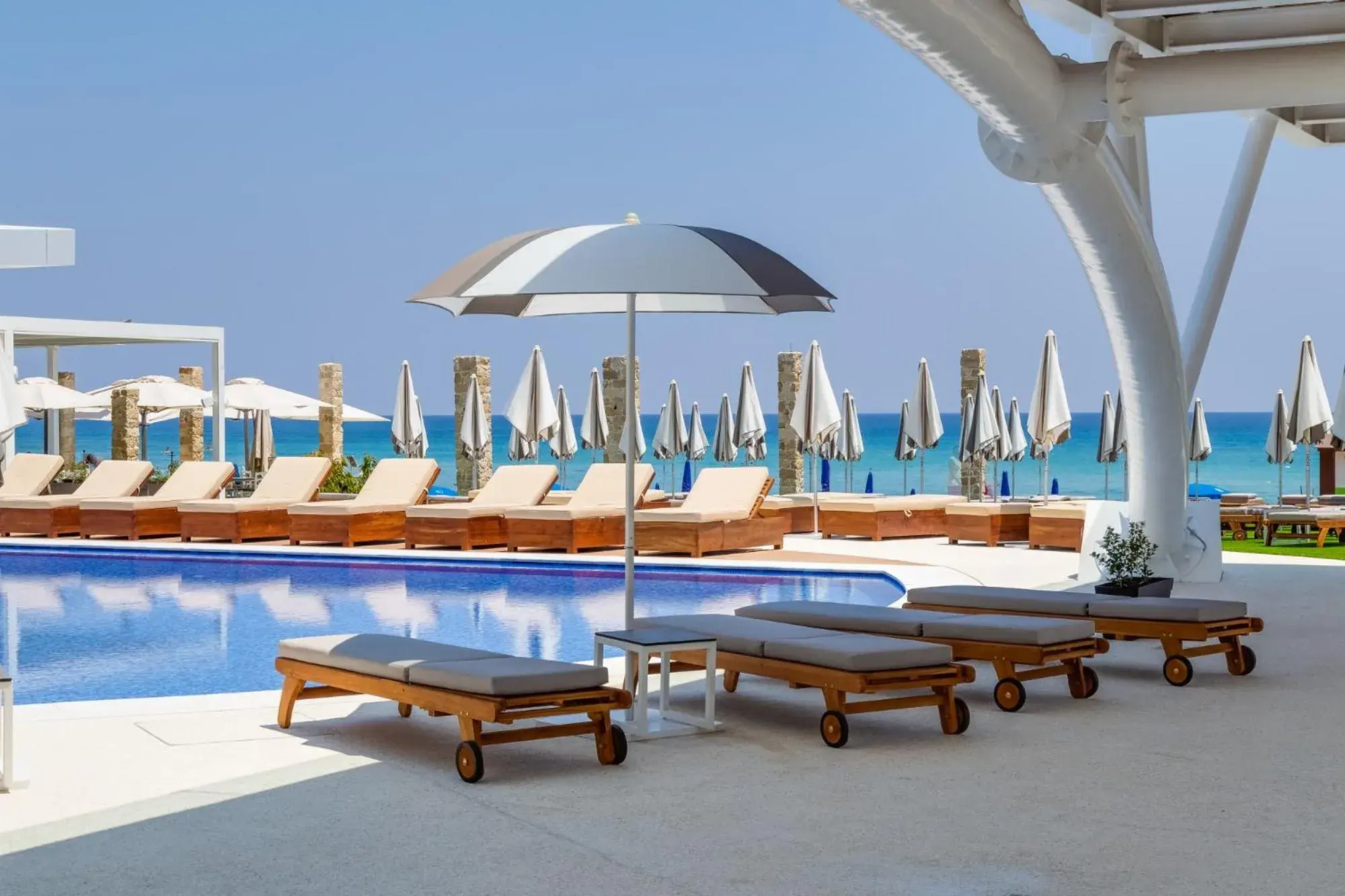 Swimming pool in Flamingo Paradise Beach Hotel - Adults Only Swimming pool in Flamingo Paradise Beach Hotel - Adults Only