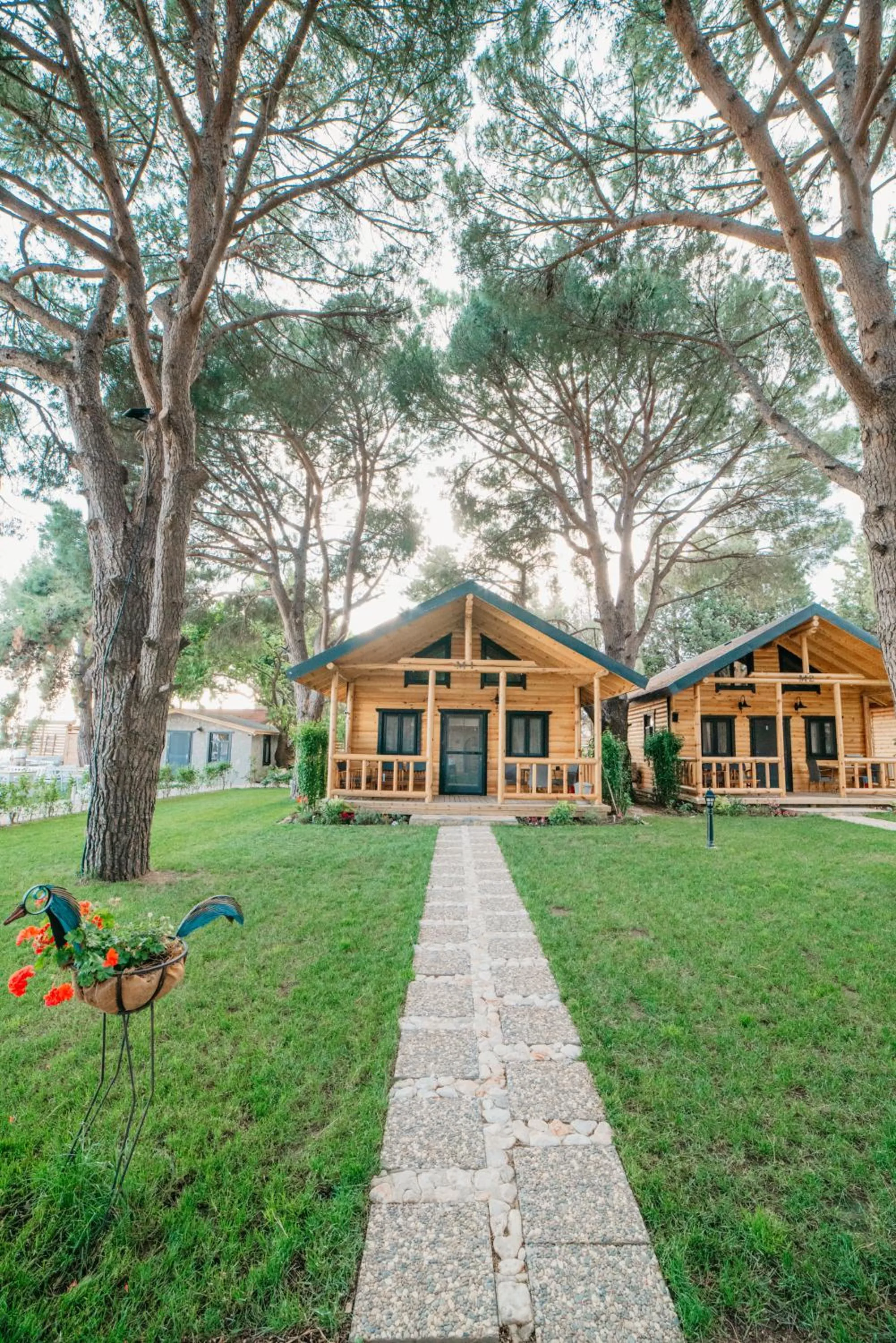Garden view in Pino Mar Luxury Bungalows