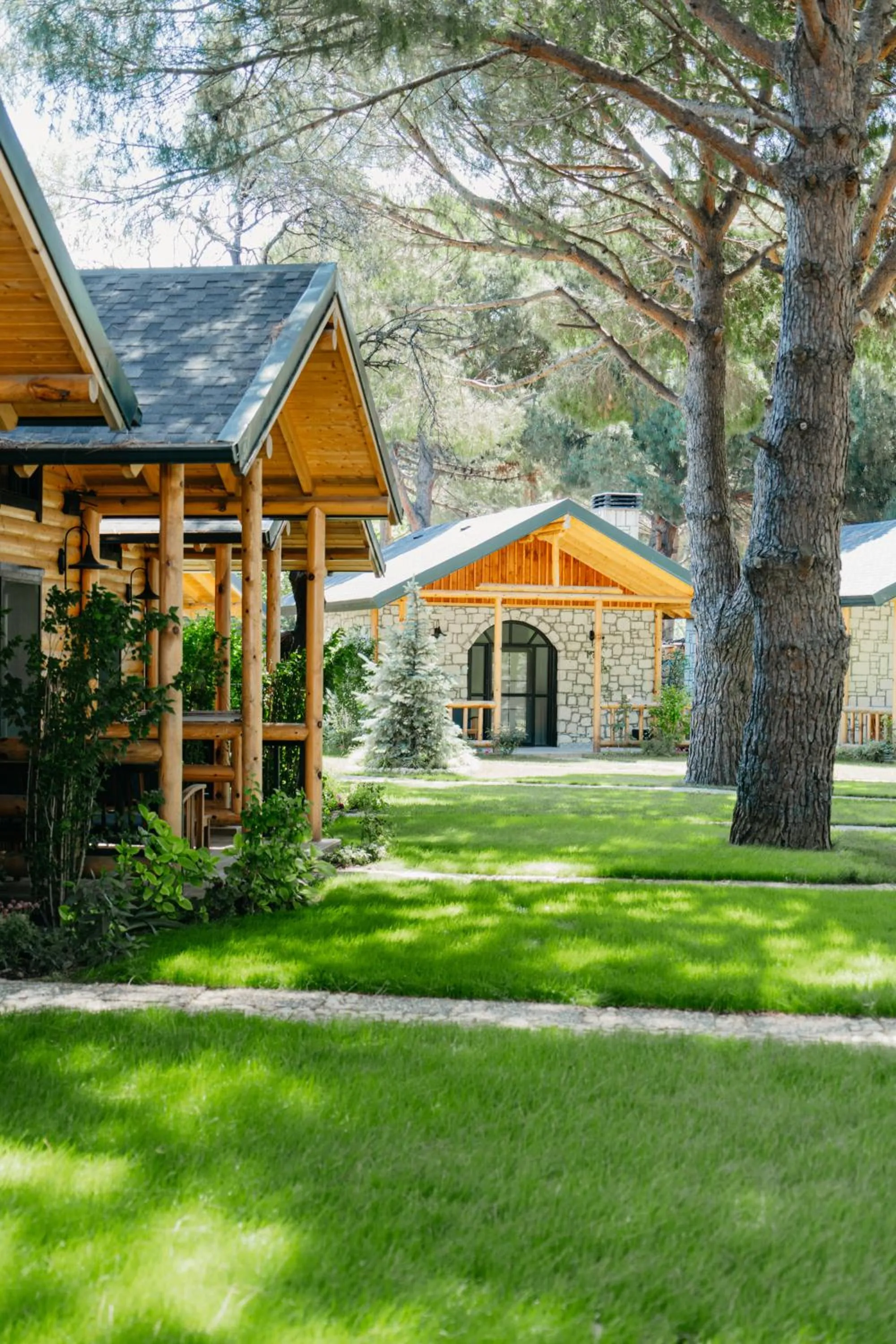 Garden in Pino Mar Luxury Bungalows