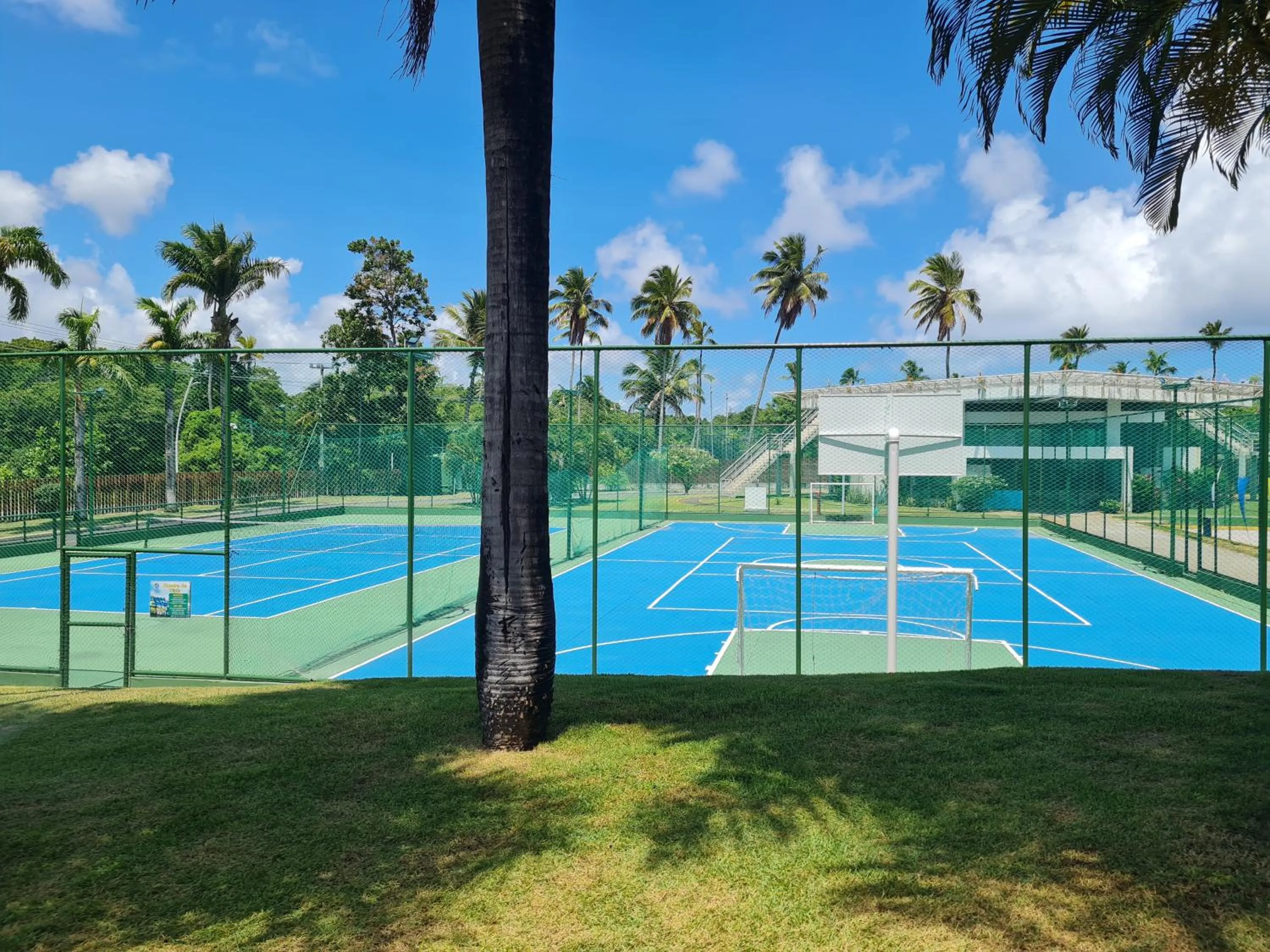 Day in Flat Beach Class Muro Alto 1107