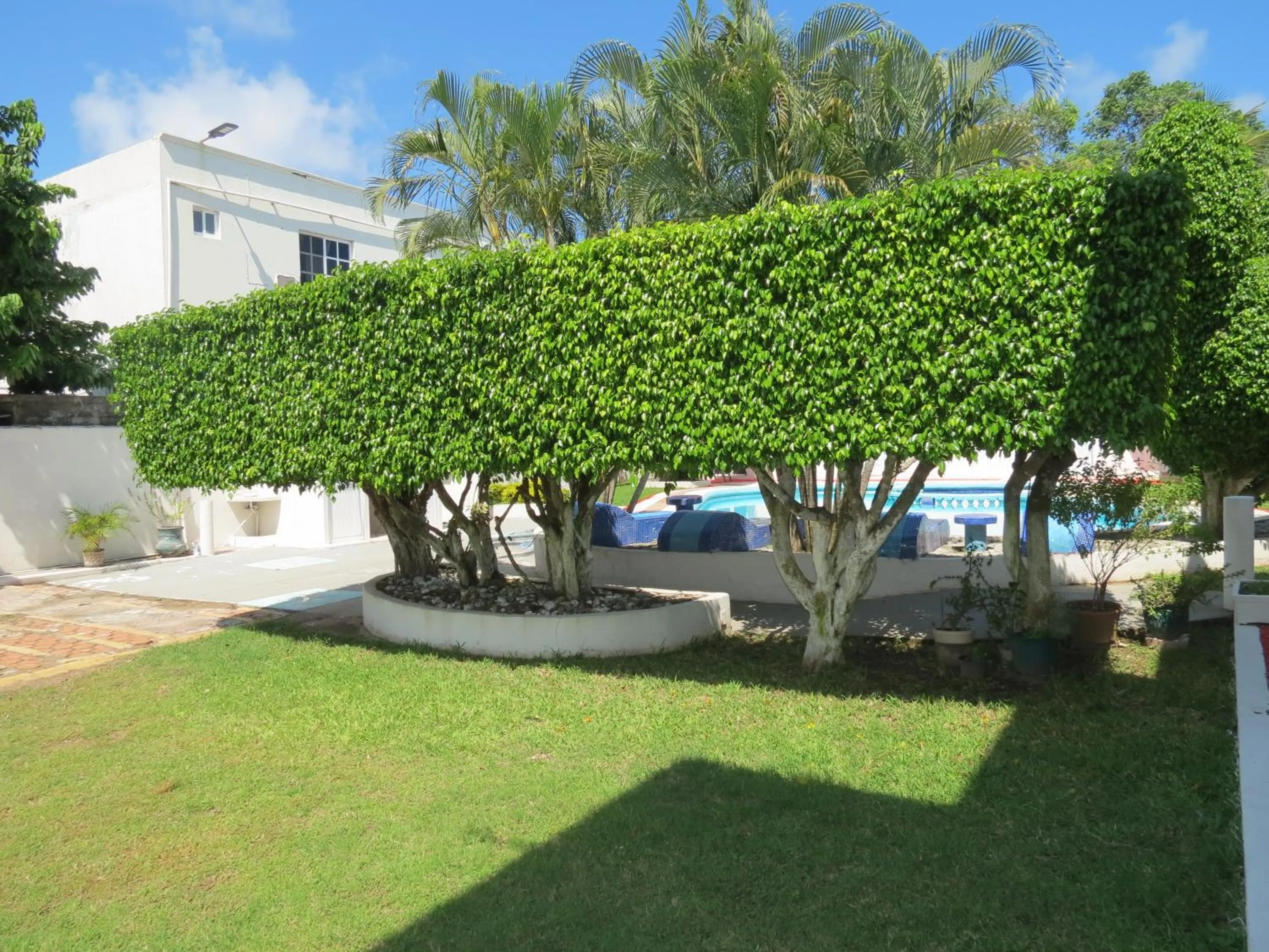 Garden in Hotel Albri by Rotamundos