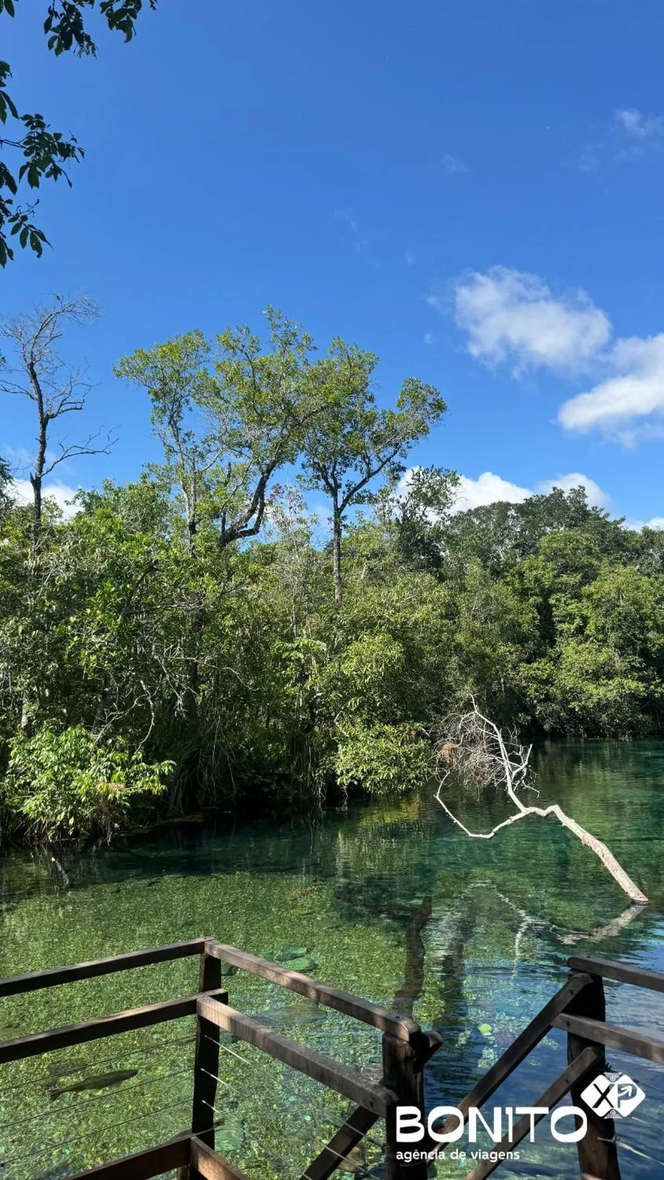 Pousada Villas - Bonito