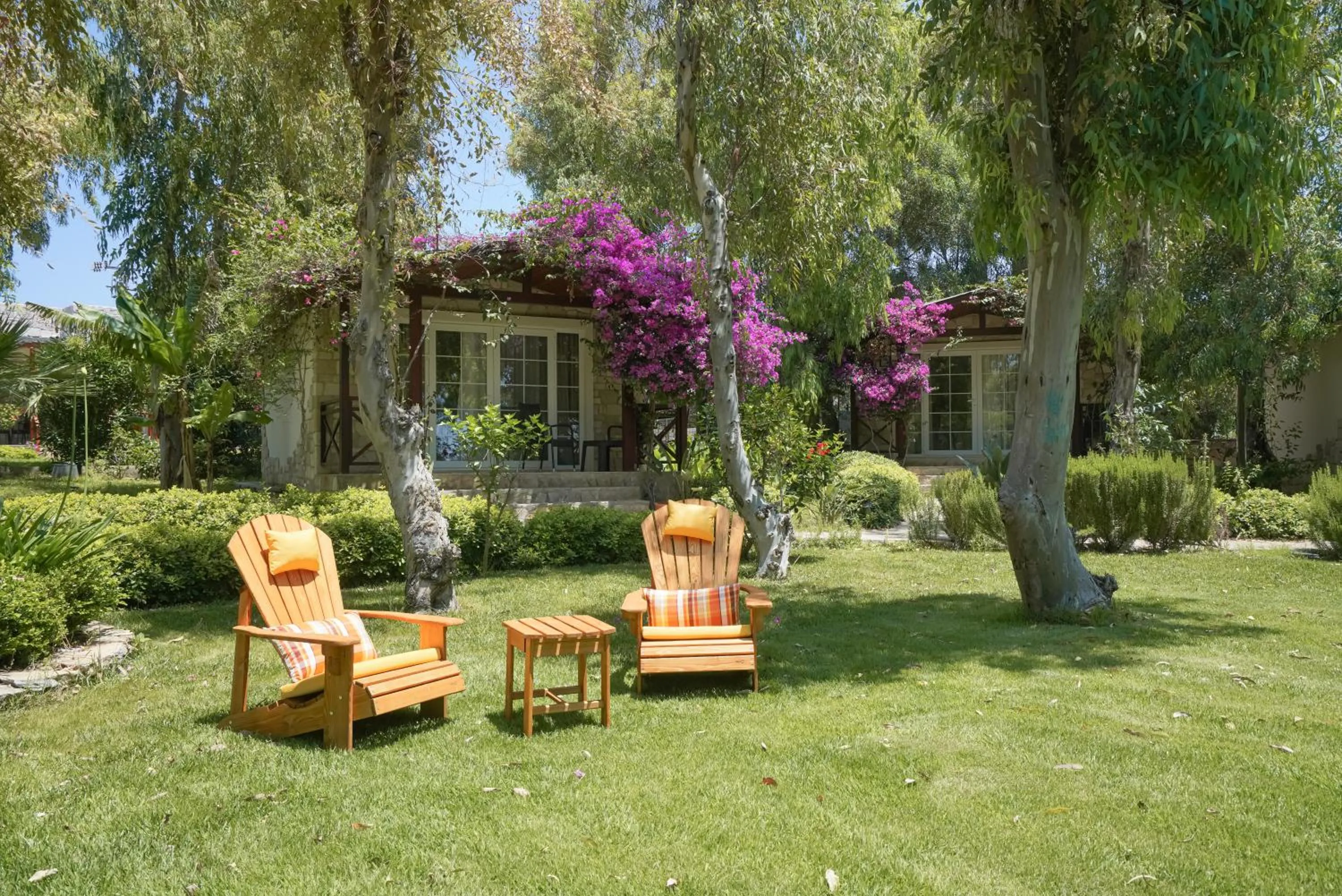 Garden in Datça Dirik Surf Beach Hotel
