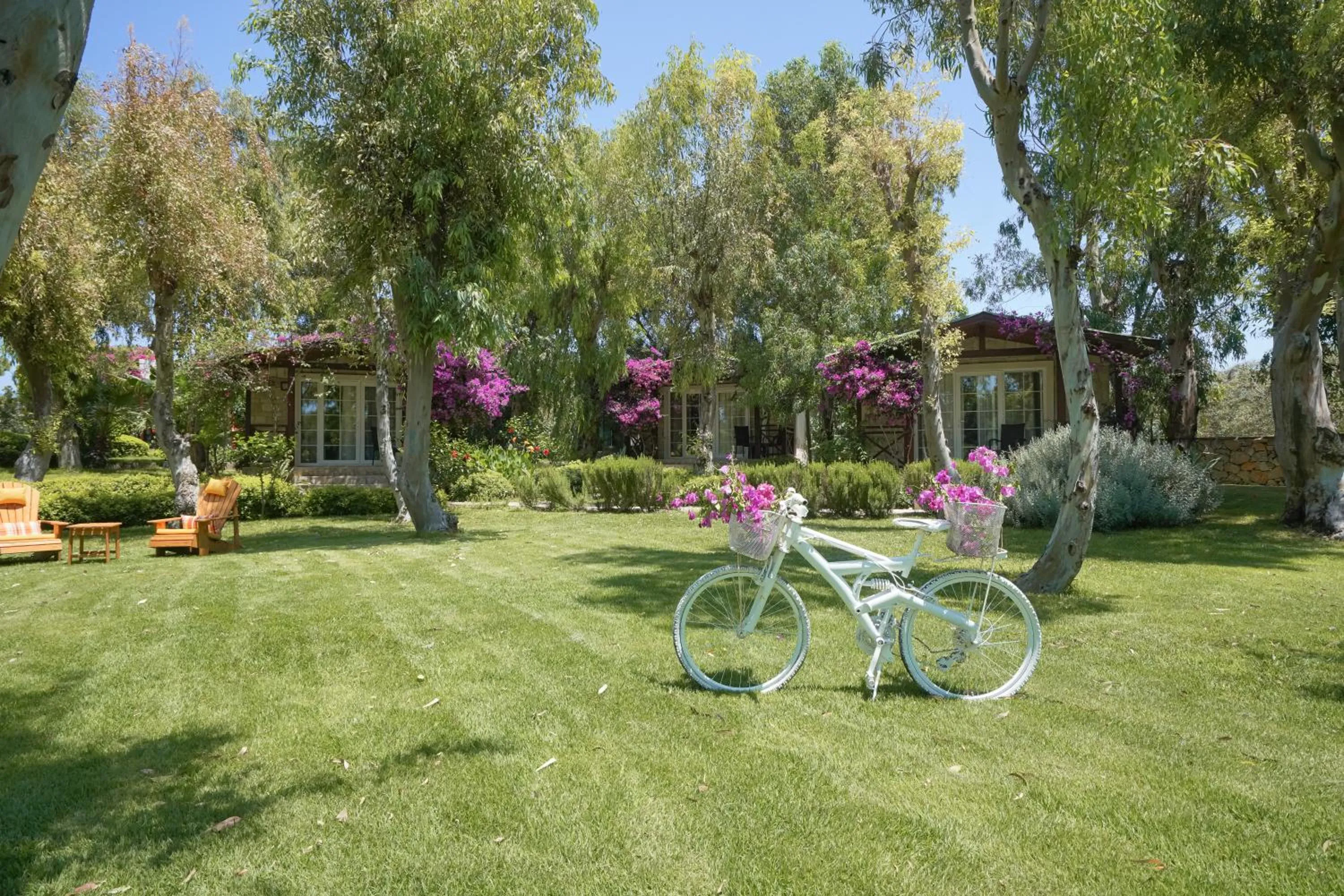 Garden in Datça Dirik Surf Beach Hotel