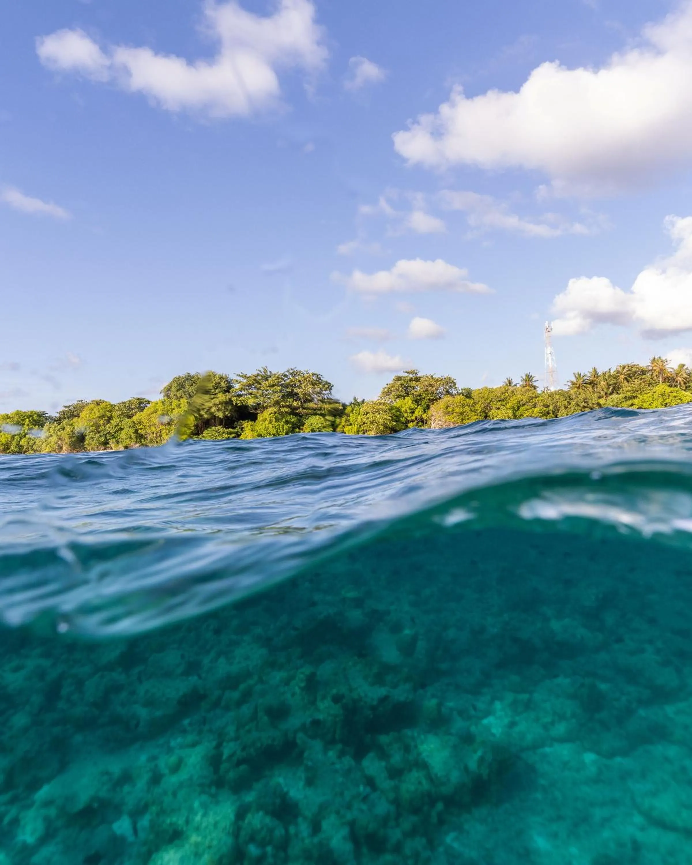 Natural landscape in Kamadhoo Inn