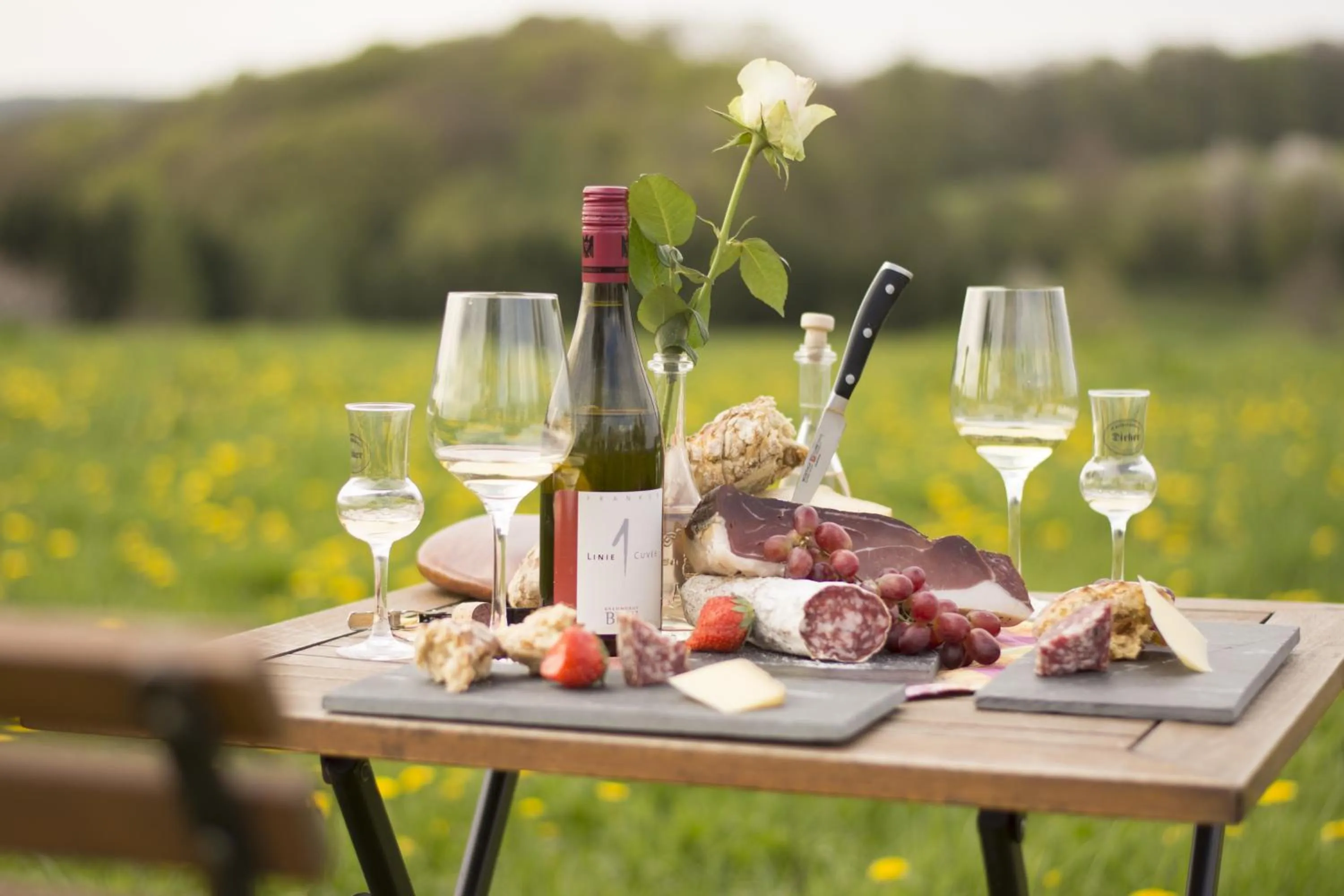 Natural landscape in BEHLs Genusshotel im Brennhaus